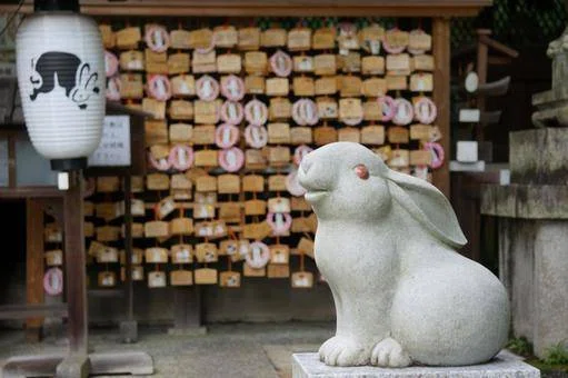 うさぎが縁起物って知ってた？うさぎモチーフの持つ意味とは｜ペットの杜