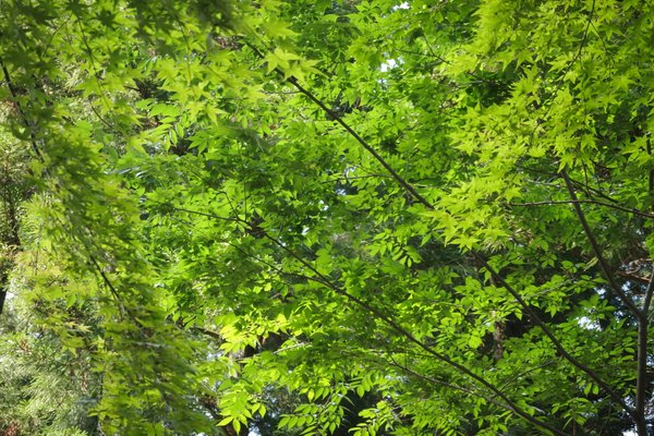 水戸八幡宮 の新着タグ記事一覧 Note つくる つながる とどける