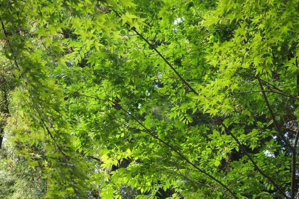 水戸八幡宮 の新着タグ記事一覧 Note つくる つながる とどける 水戸八幡宮 の新着タグ記事一覧 Note つくる つながる とどける