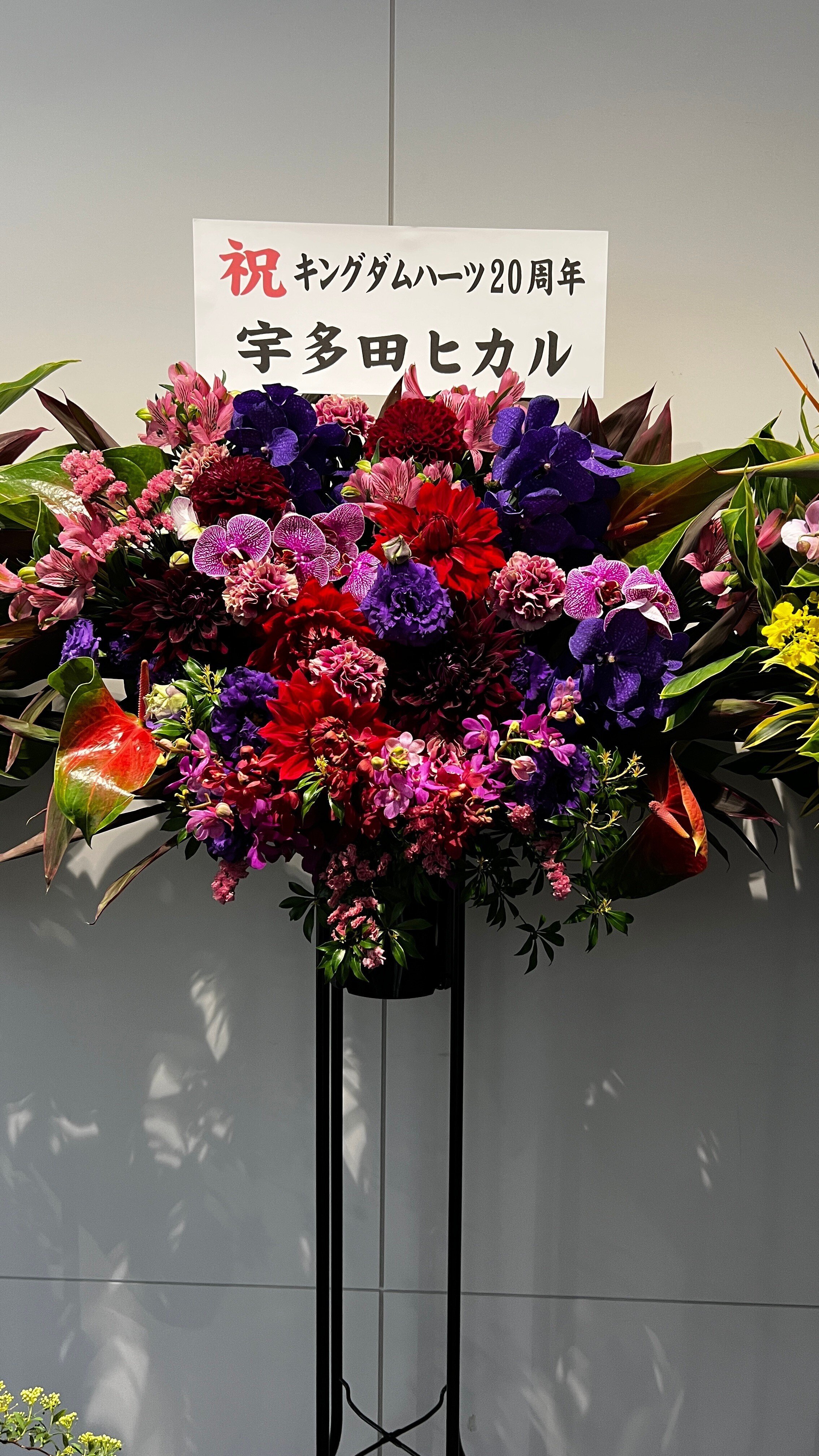 KINGDOM HEARTS 20th ANNIVERSARY EVENT レポート|蒼 KINGDOM HEARTS 20th ANNIVERSARY EVENT レポート|蒼