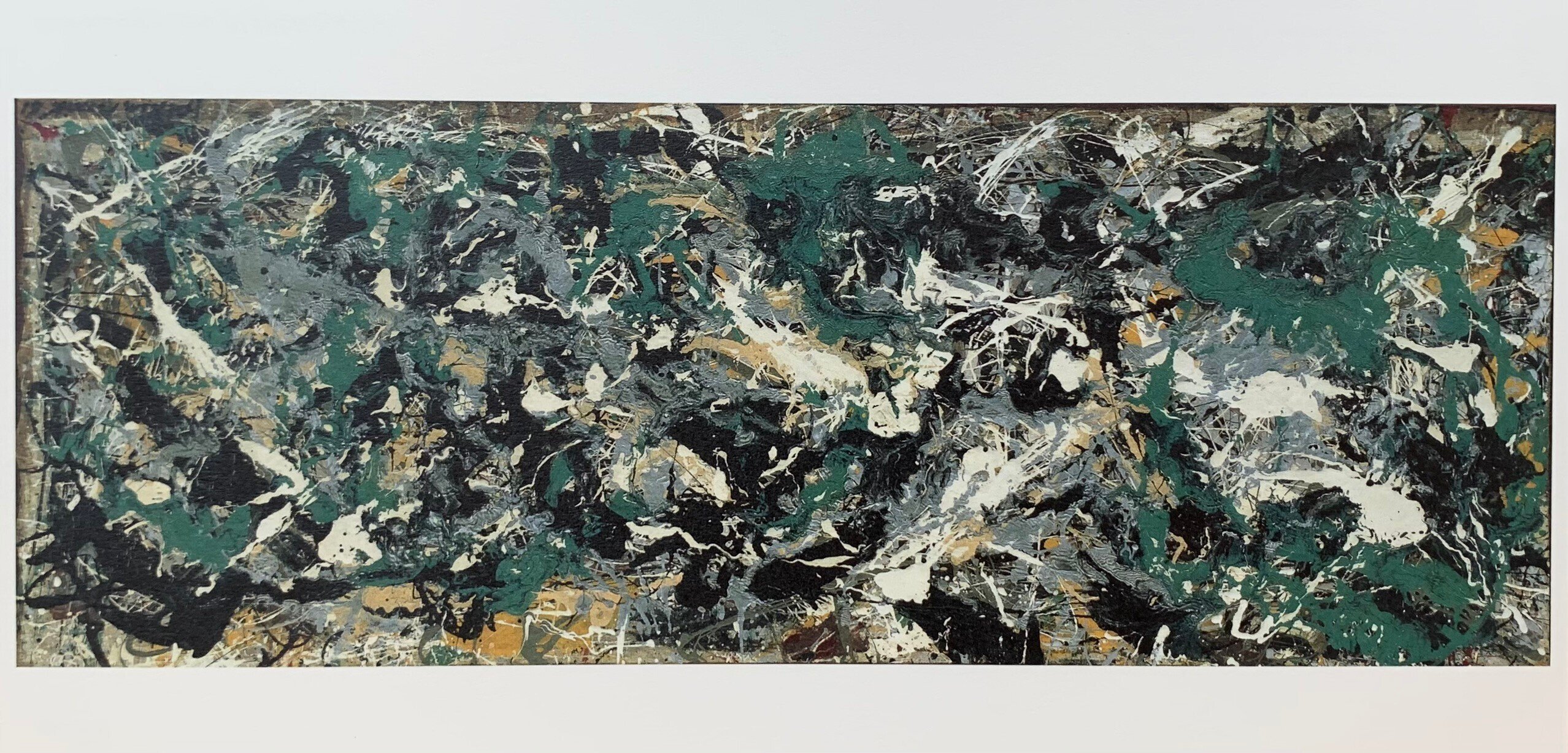 カラーフィールドー色の海を泳ぐー｜たまちゃん