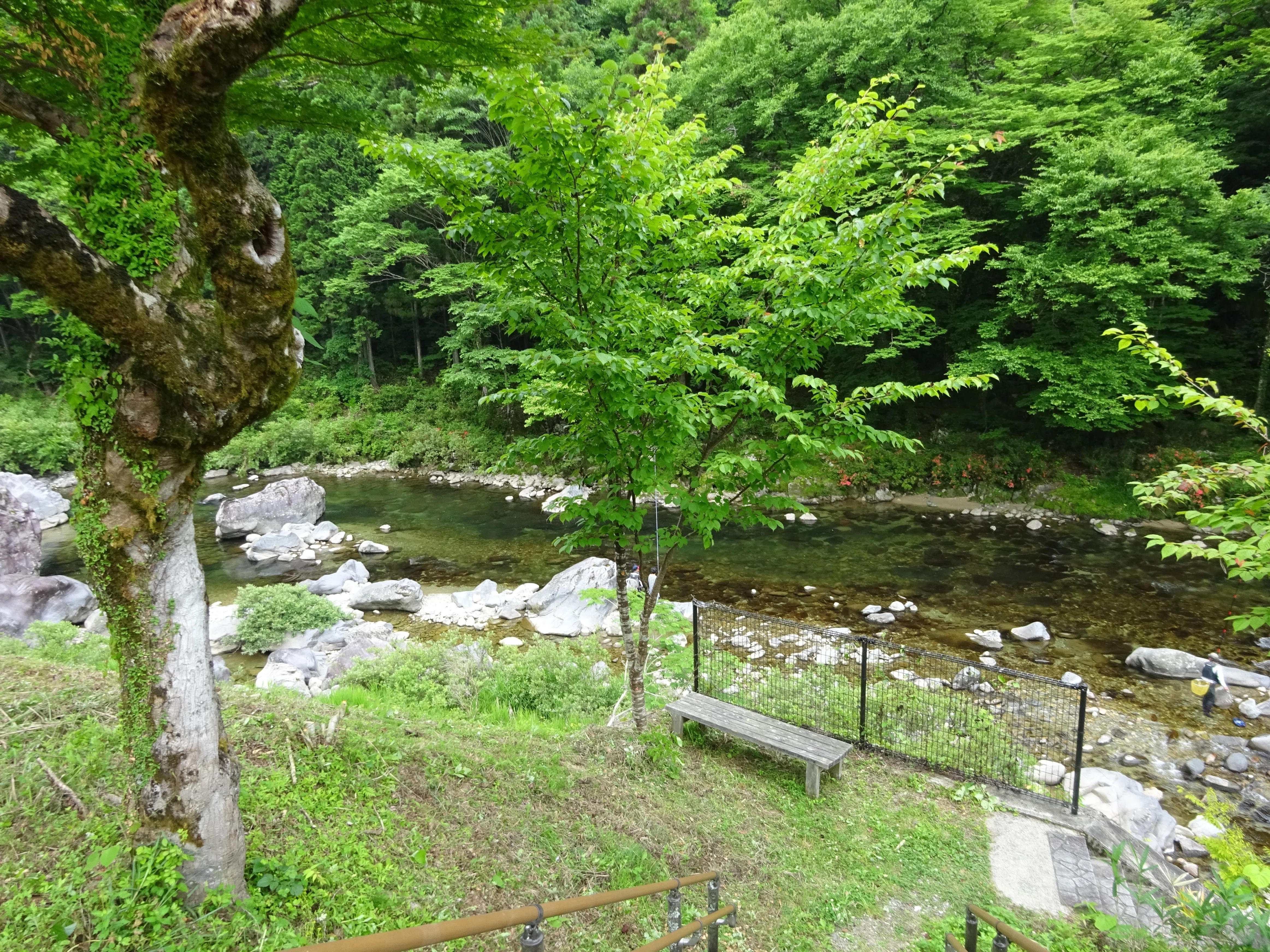 写真日記】謎の未確認生物ツチノコを探し求めてin岐阜県東白川村③