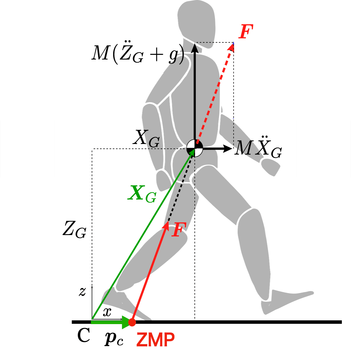 フォースプレートによる床反力計測＃4 〜身体側からみた床反力の物理的
