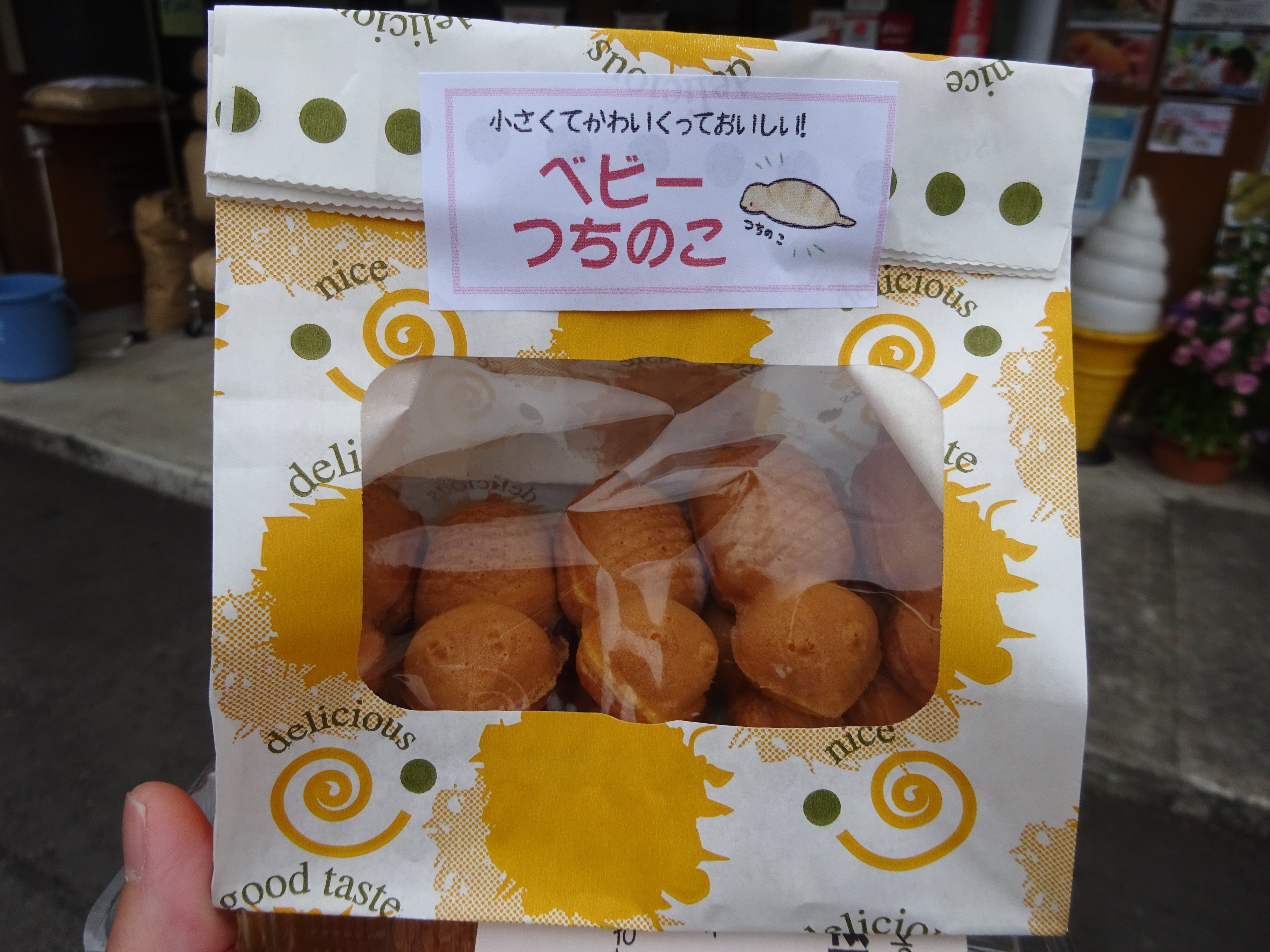 写真日記】謎の未確認生物ツチノコを探し求めてin岐阜県東白川村③