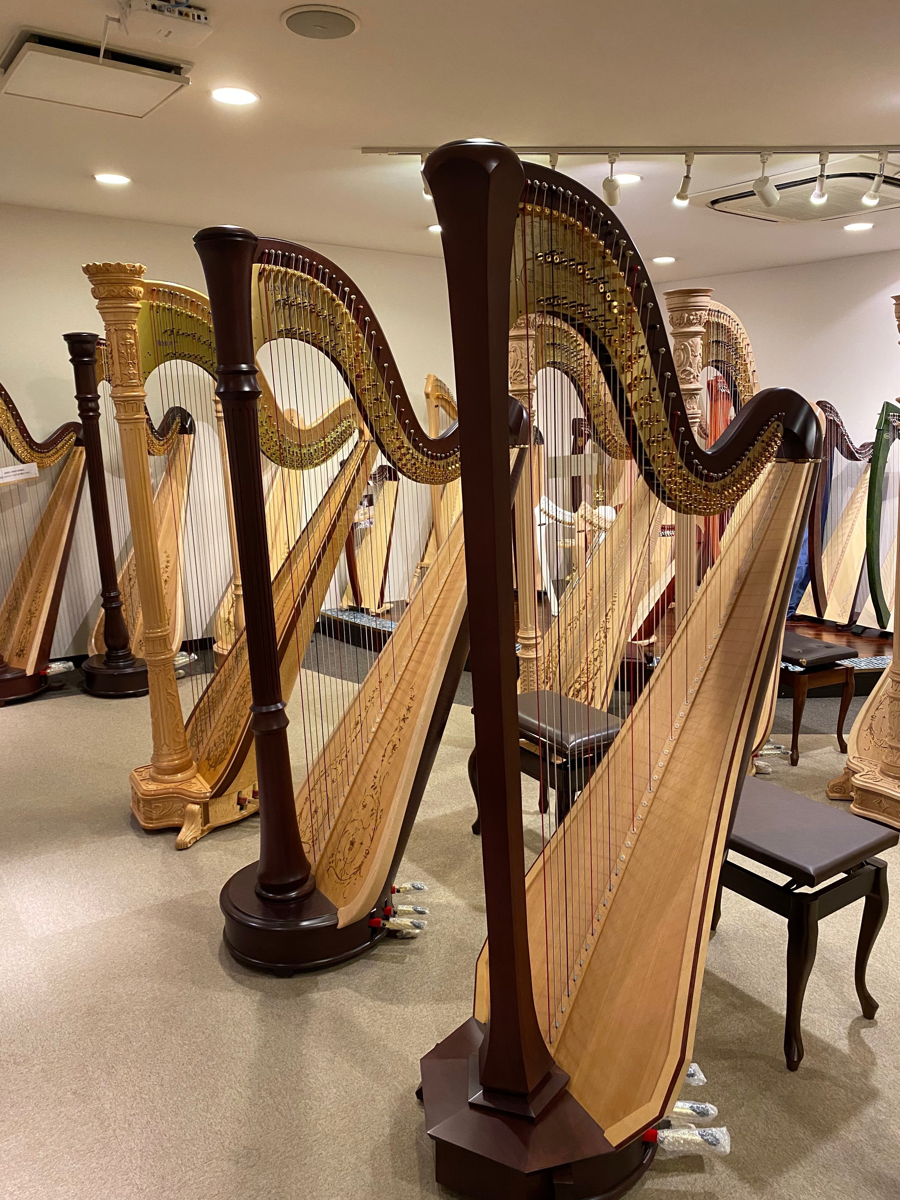 アイリッシュ・ハープ lever-natural-gut-1st-a.jpg