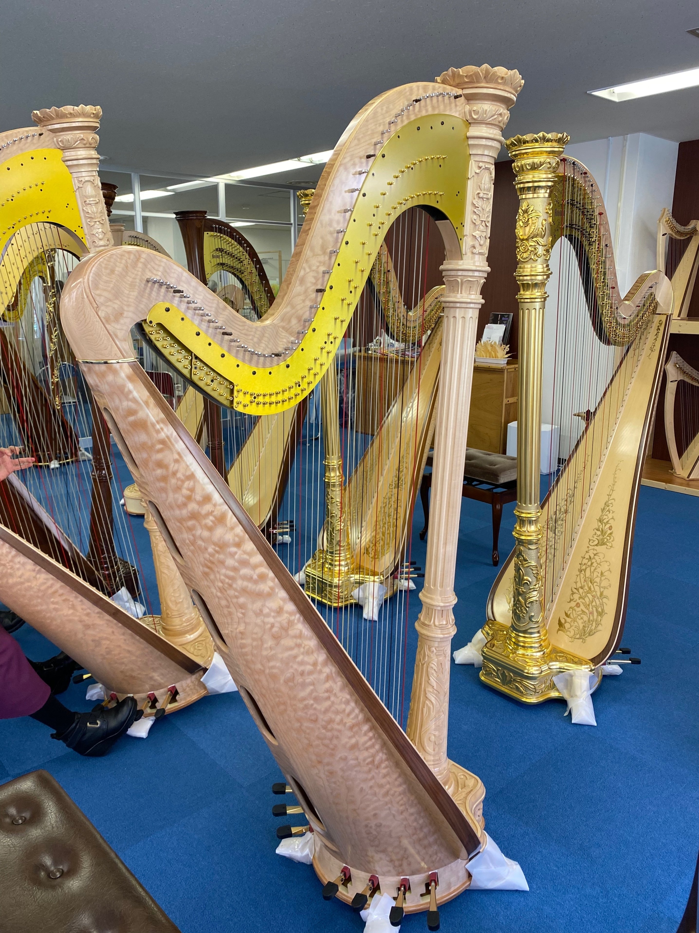 グランドハープ選びの顛末｜arte🐱🎶