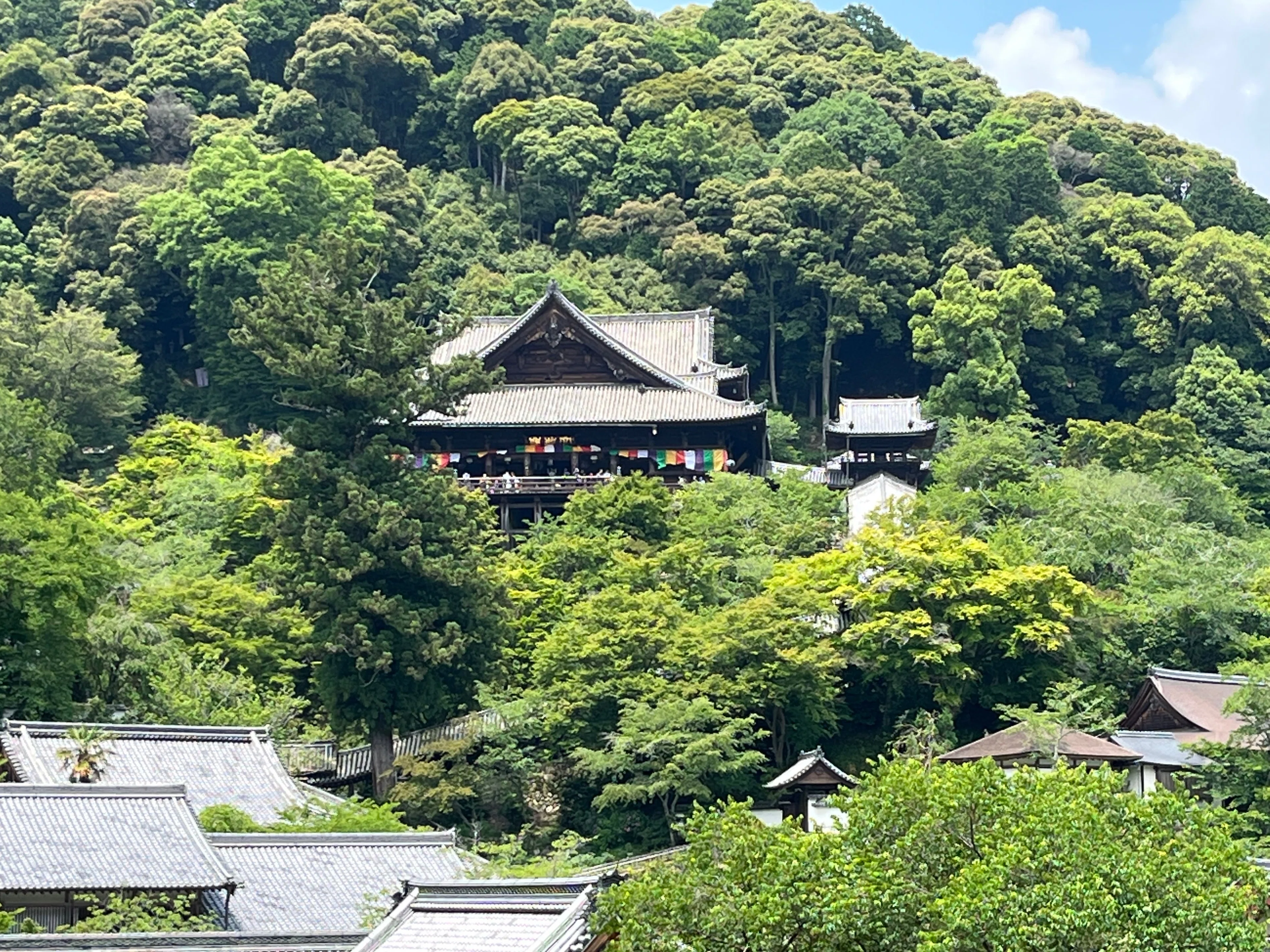 📿西国三十三所巡礼⑥ - 長谷寺に南円堂、奈良公園はいつも楽しい