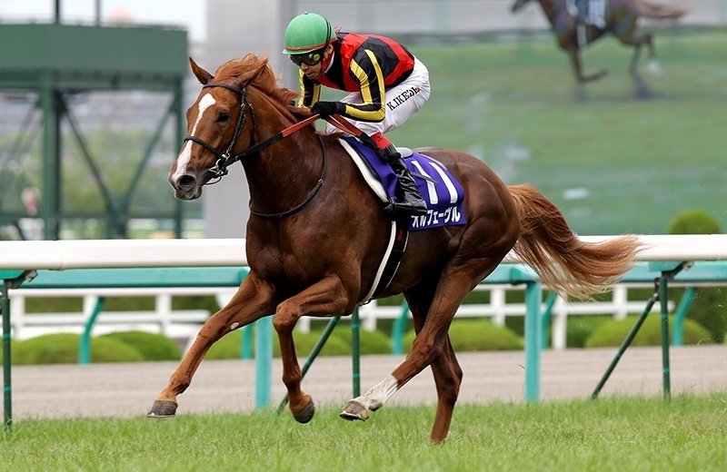 ウマ娘で学ぶ競馬史 #31 紡がれし希望 (2011)｜マツウラ