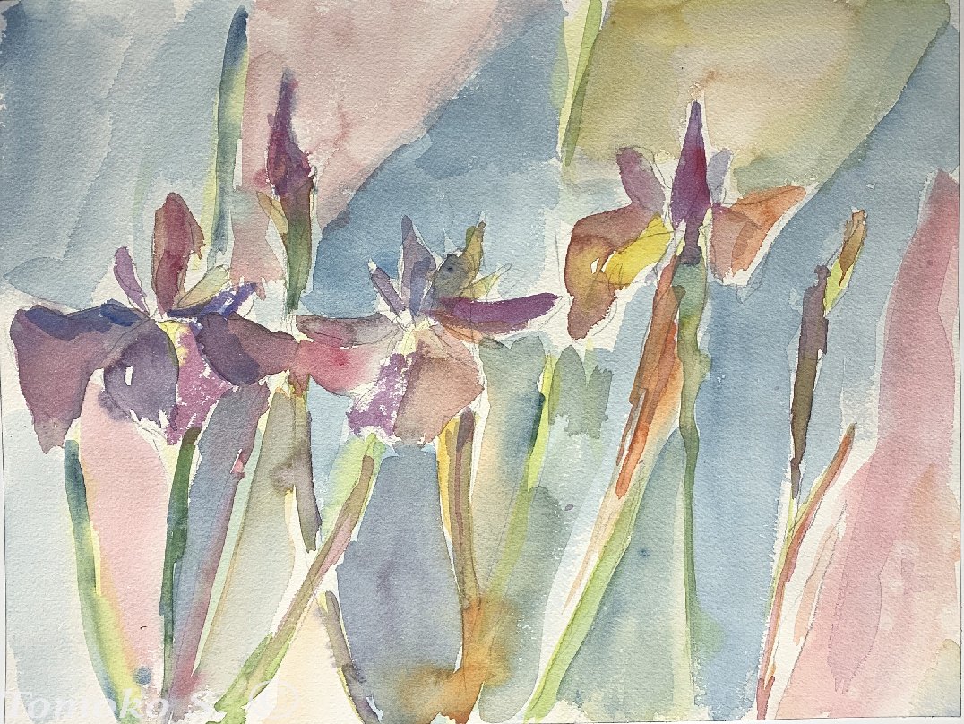 国産品 作品紹介] 水彩画 （絵 菖蒲、またはアイリス｜ともこ 絵画