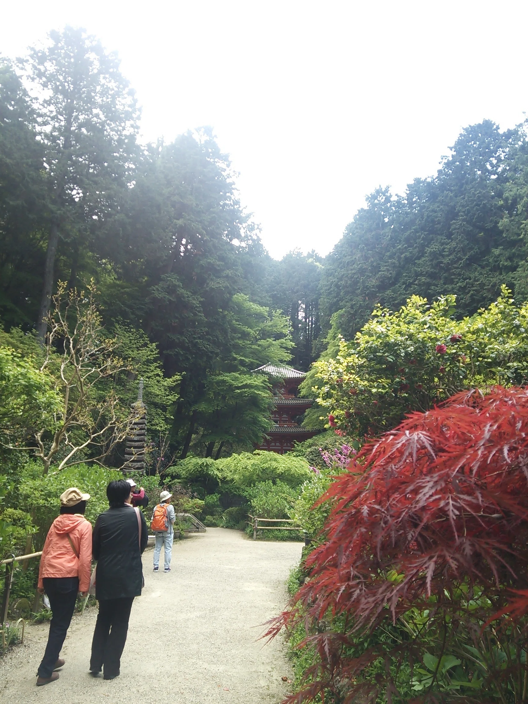 岩船寺は日本一紅葉が映える三重塔である/春日・白山神社【京都南山城