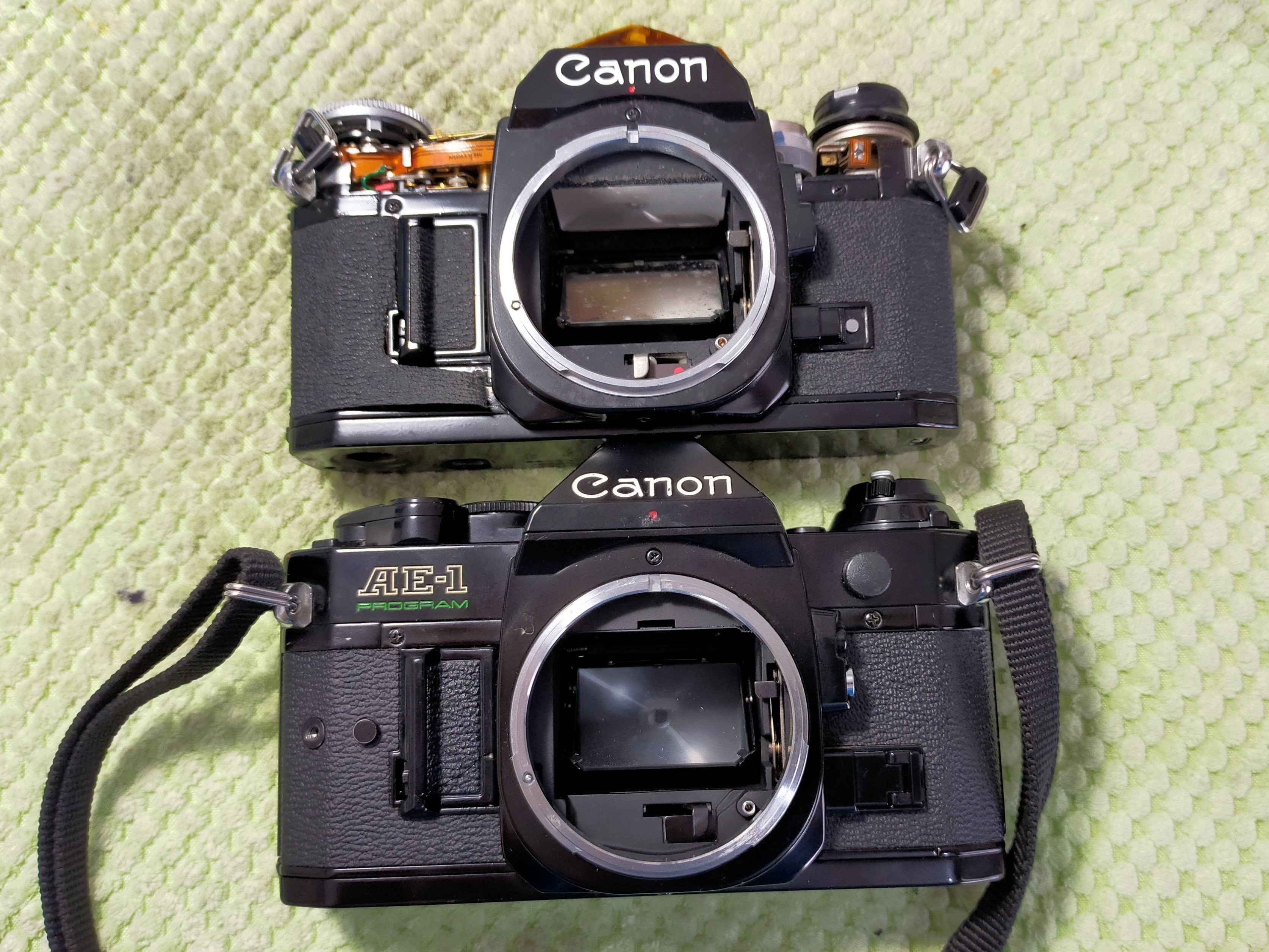 Canon AE-1 プログラムの電池蓋交換|フィルムカメラ修理の Canon AE-1 プログラムの電池蓋交換|フィルムカメラ修理の