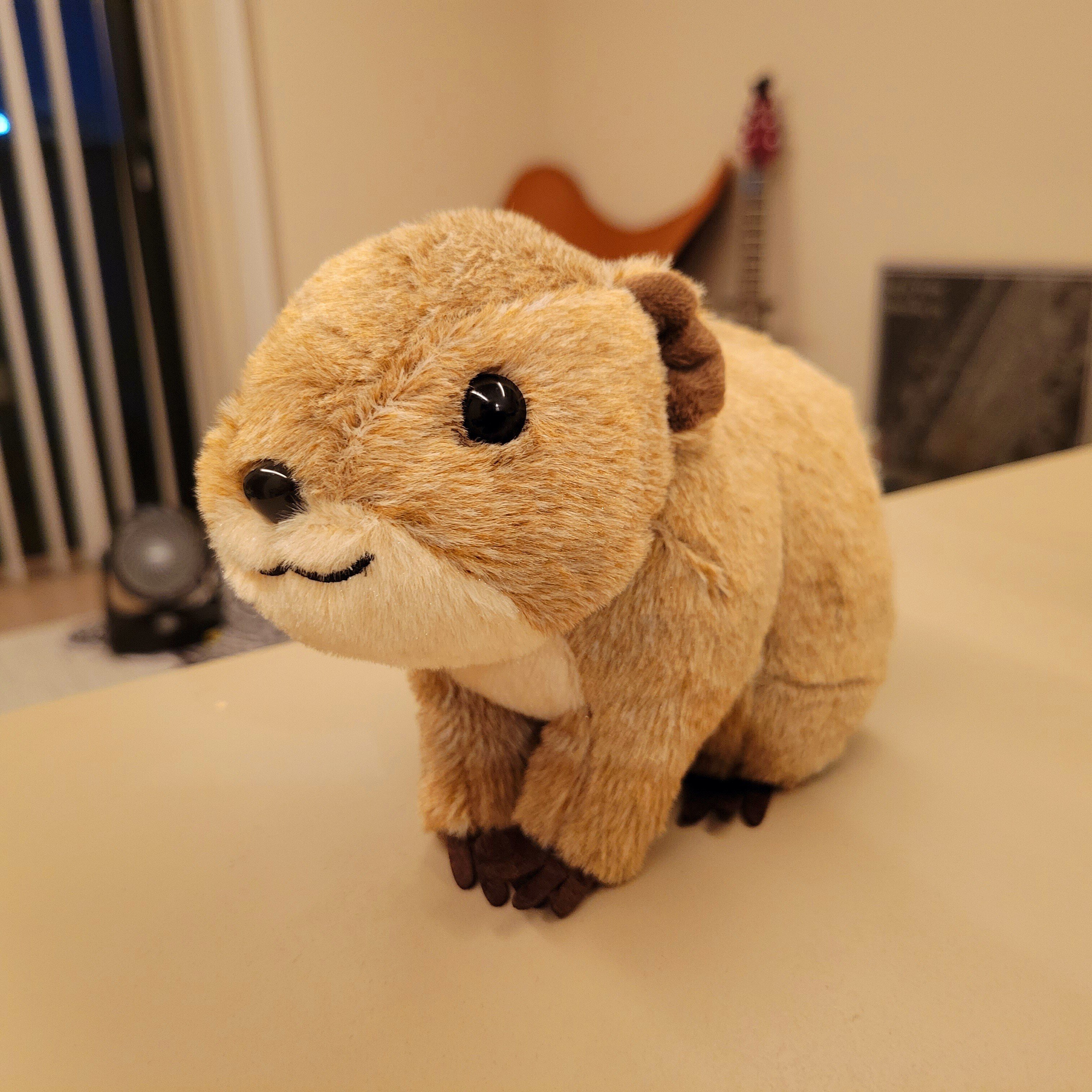 自称】ぬいぐるみ鑑定士がゆく ～ケープハイラックスのぬいぐるみを