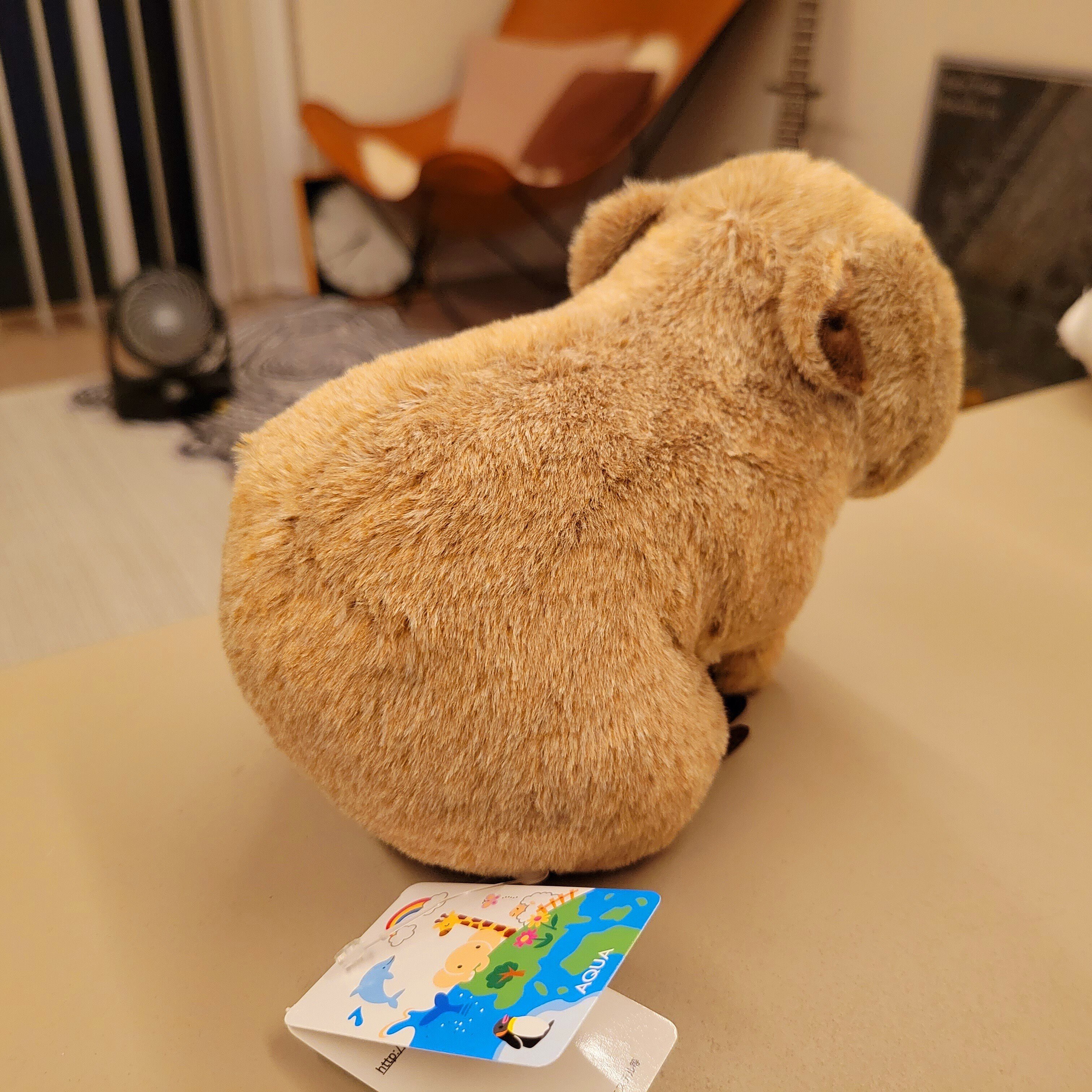 自称】ぬいぐるみ鑑定士がゆく ～ケープハイラックスの