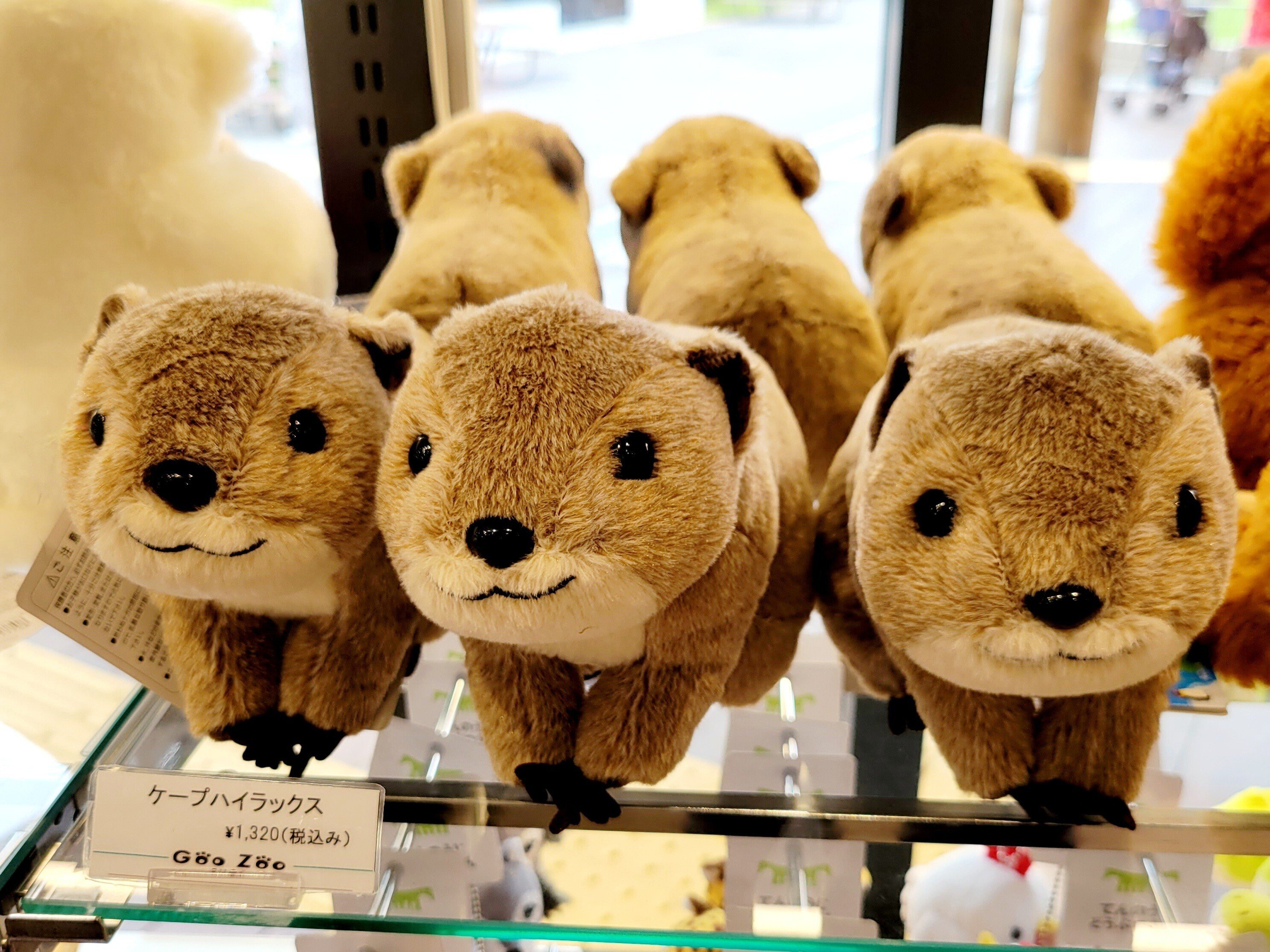 自称】ぬいぐるみ鑑定士がゆく ～ケープハイラックスの