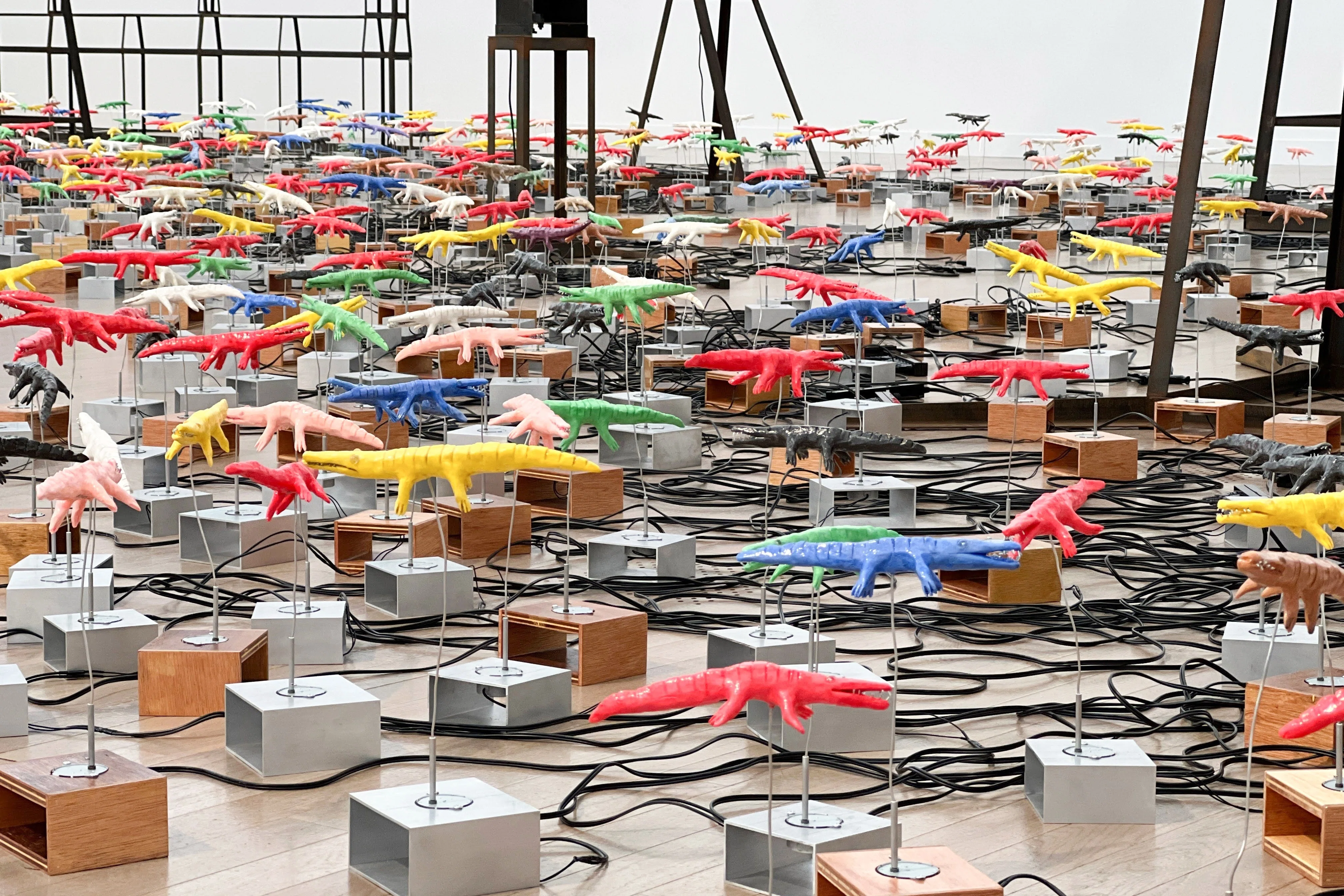 Is a Spinning Crocodile Art? — 