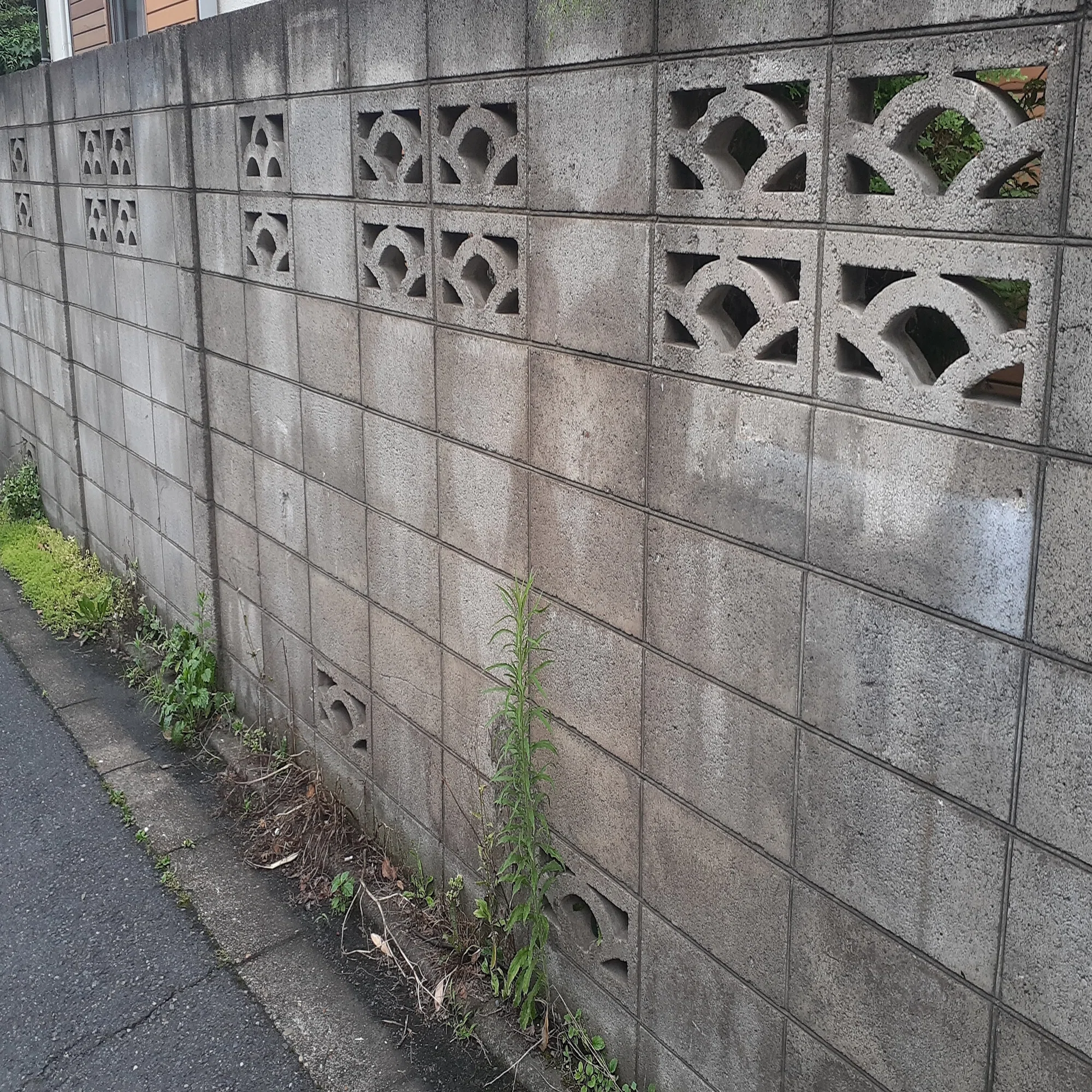 街でブロックを収集するゲームなんて 面白いに決まっている 学友annex 世田谷学園 学内誌 Note
