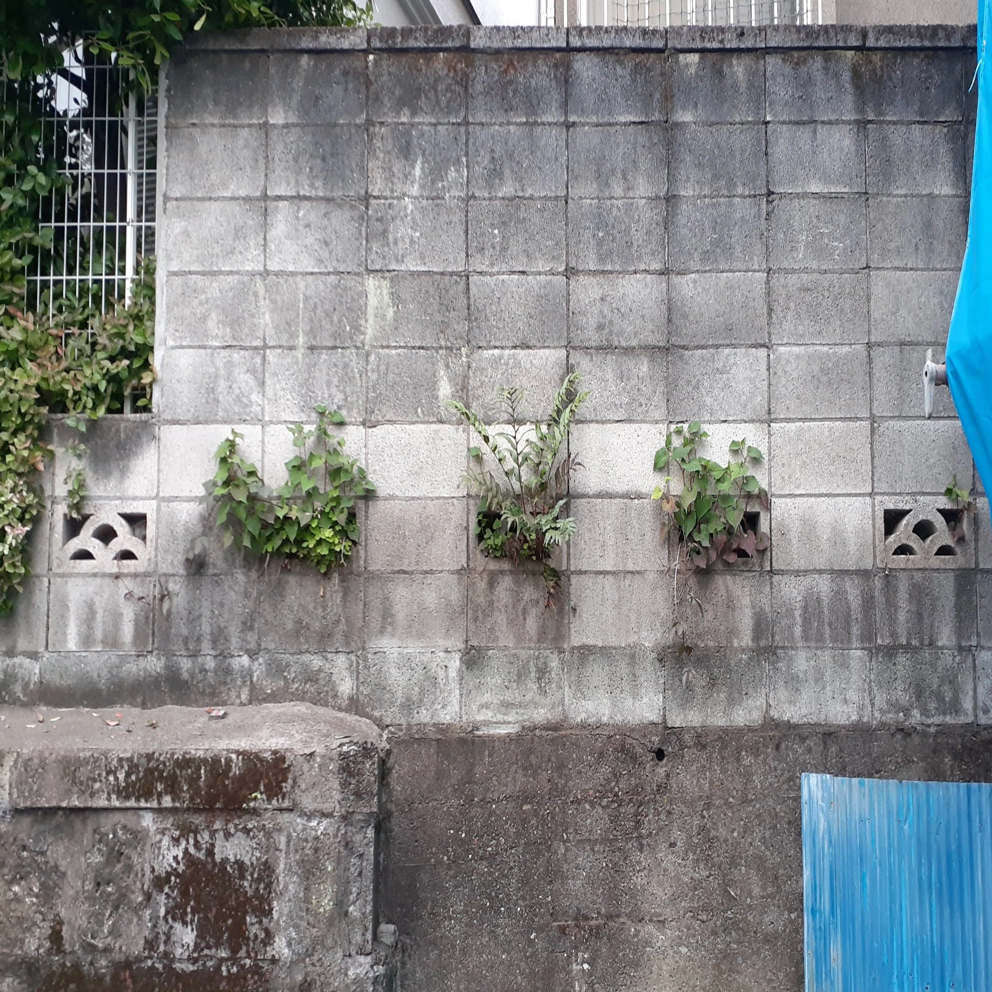 街でブロックを収集するゲームなんて 面白いに決まっている 学友annex 世田谷学園 学内誌 Note