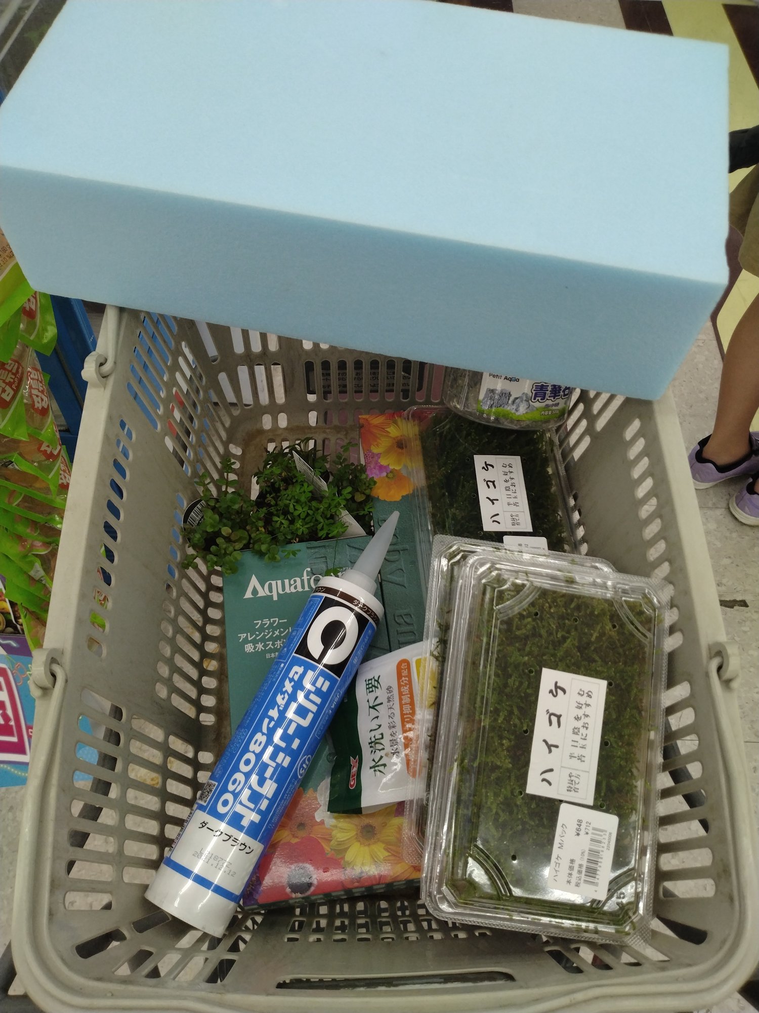 湧き水と滝をイメージしたアクアテラリウムを作った こゆるぎさん Note 湧き水と滝をイメージしたアクアテラリウムを作った こゆるぎさん Note