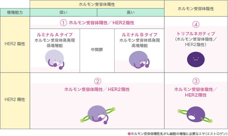 HER2 陰性乳がんに対する放射線療法