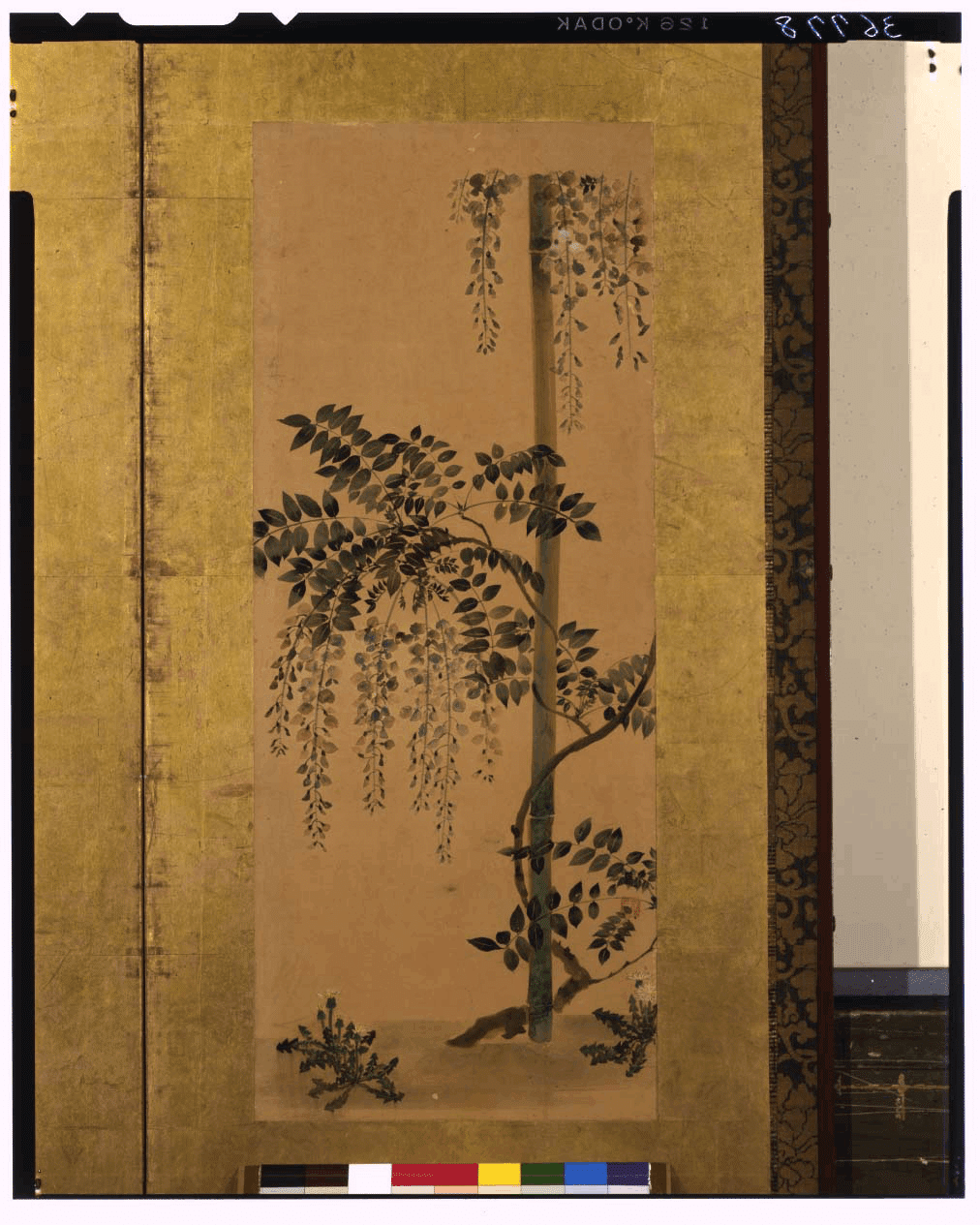 琳派　しこうしゃ 週末アート》 琳派ってにゃに？｜しじみ ｜デザインを語るひと