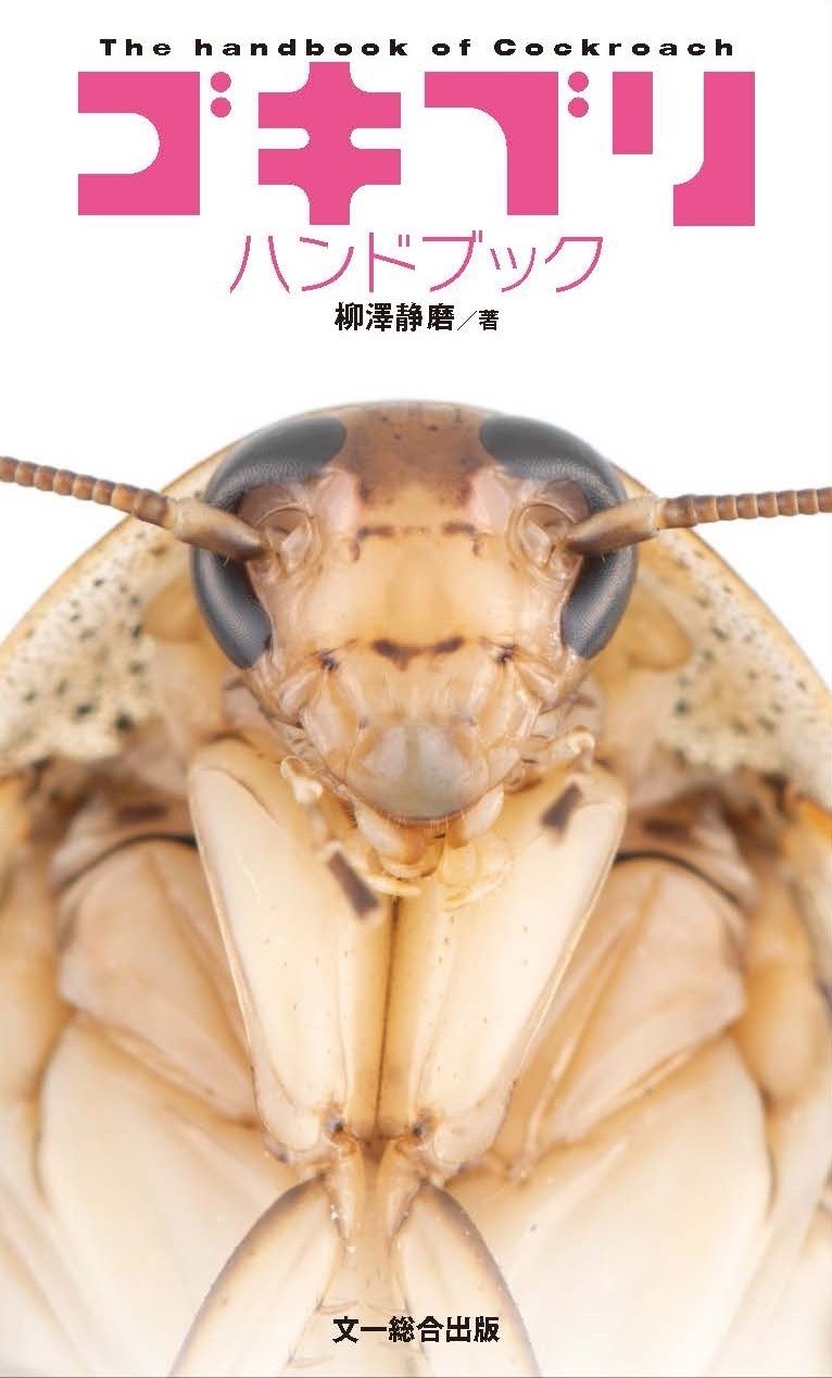 ゴキブリハンドブックができるまで ブンイチ 文一総合出版 Note ゴキブリハンドブックができるまで ブンイチ 文一総合出版 Note