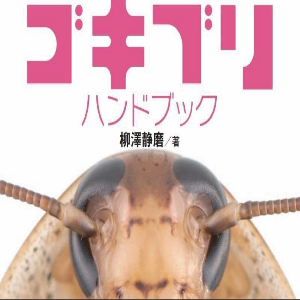 ゴキブリハンドブックができるまで ブンイチ 文一総合出版 Note