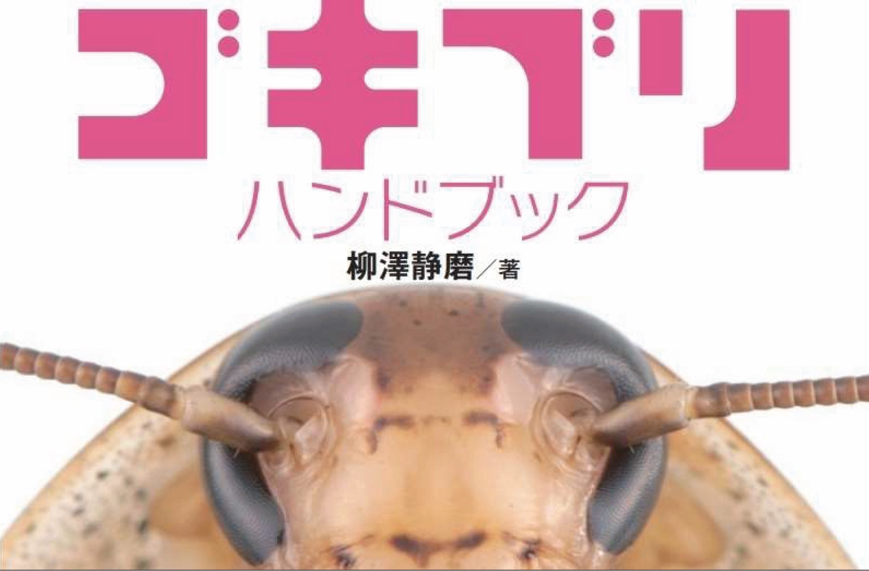 ゴキブリハンドブックができるまで ブンイチ 文一総合出版 Note ゴキブリハンドブックができるまで ブンイチ 文一総合出版 Note