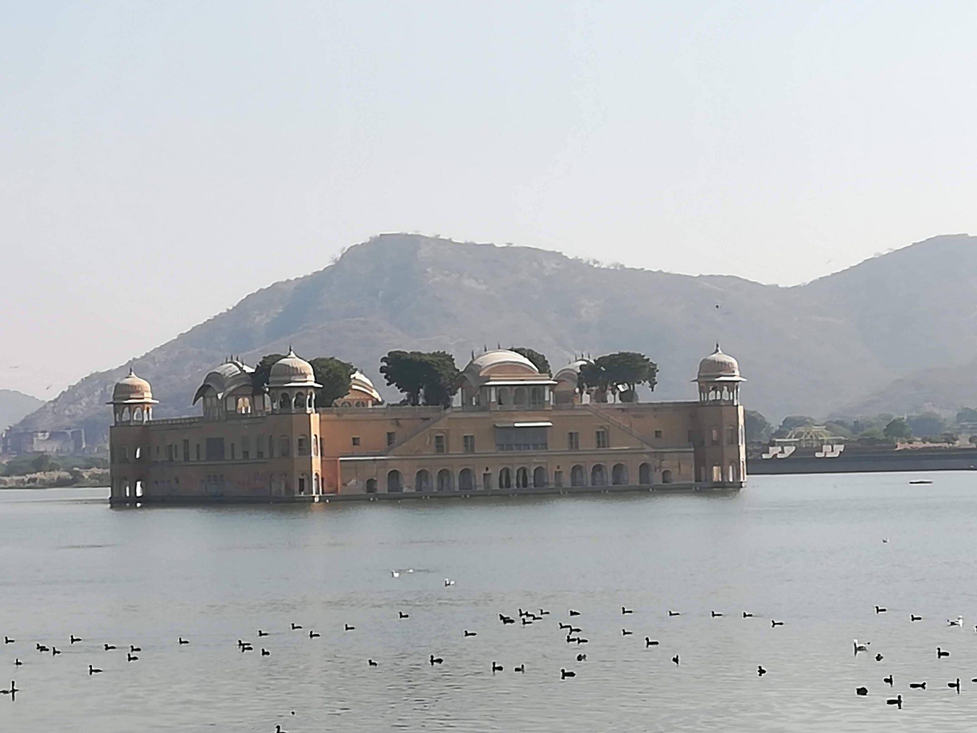 バンコクからの旅日記 26 インド ジャイプールの湖のほとりで Katy Note バンコクからの旅日記 26 インド ジャイプールの湖のほとりで Katy Note