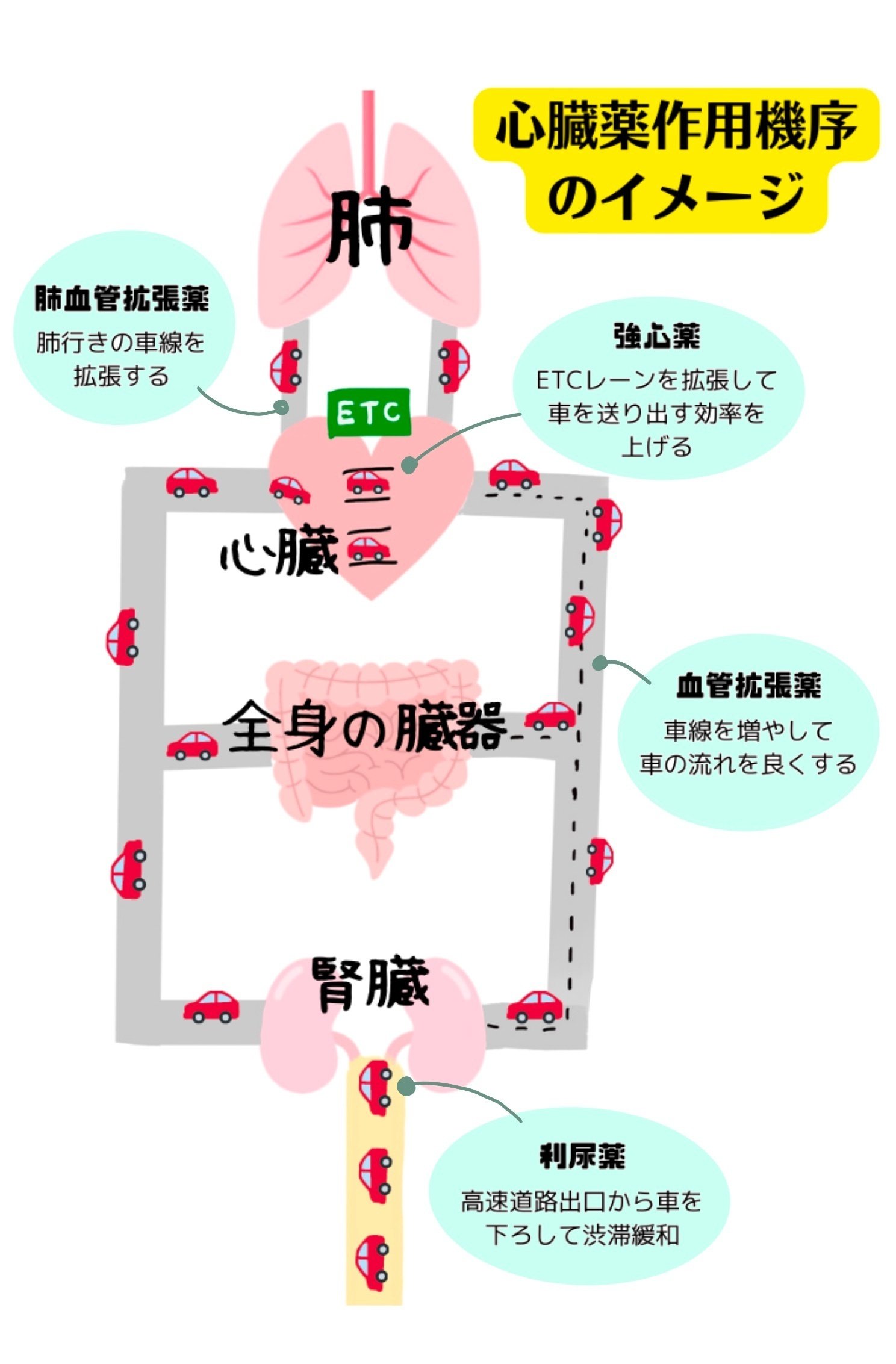 犬と猫の心疾患の薬物療法 日本全薬 【あすつく】【ハートアクト (100粒)×1個】【犬猫