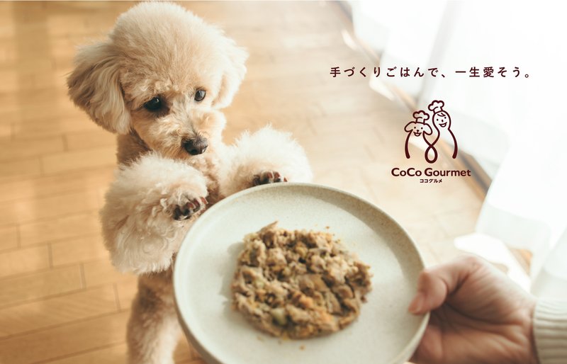 お皿にのったココグルメを見つめる犬