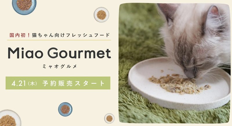 新商品キャットフードのミャオグルメを食べている猫