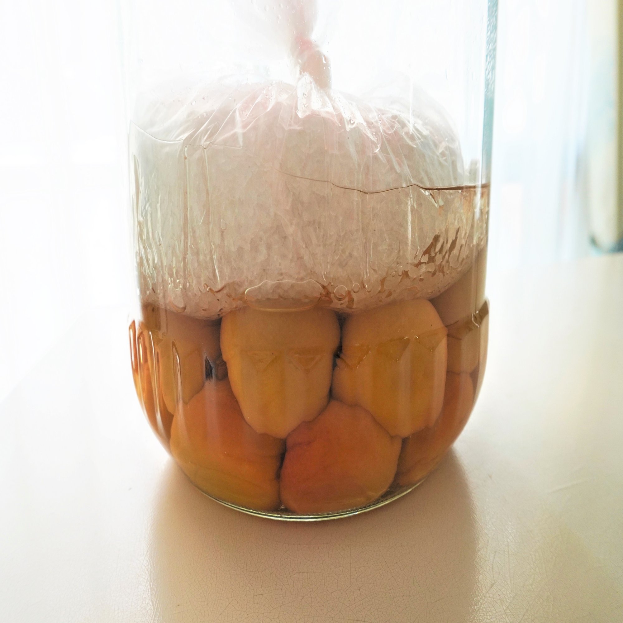 レシピ 梅干しを作りましょう 赤じそ漬け 食の工房オフィスアルベロ イタリア料理教室 In 神戸 Note