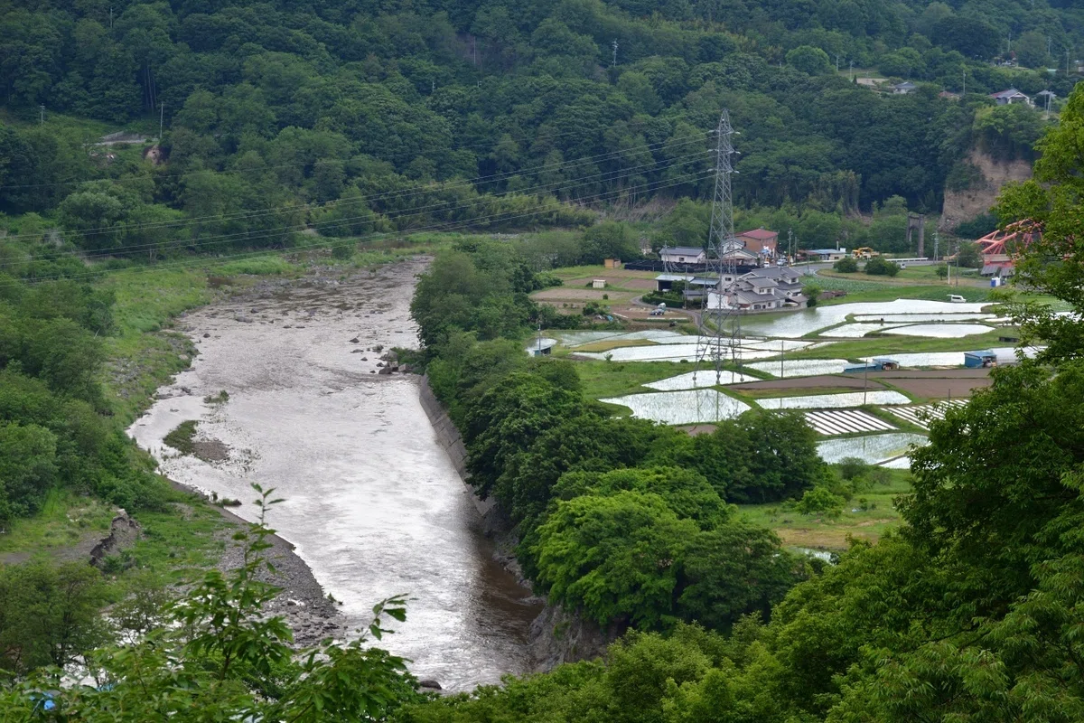 画像