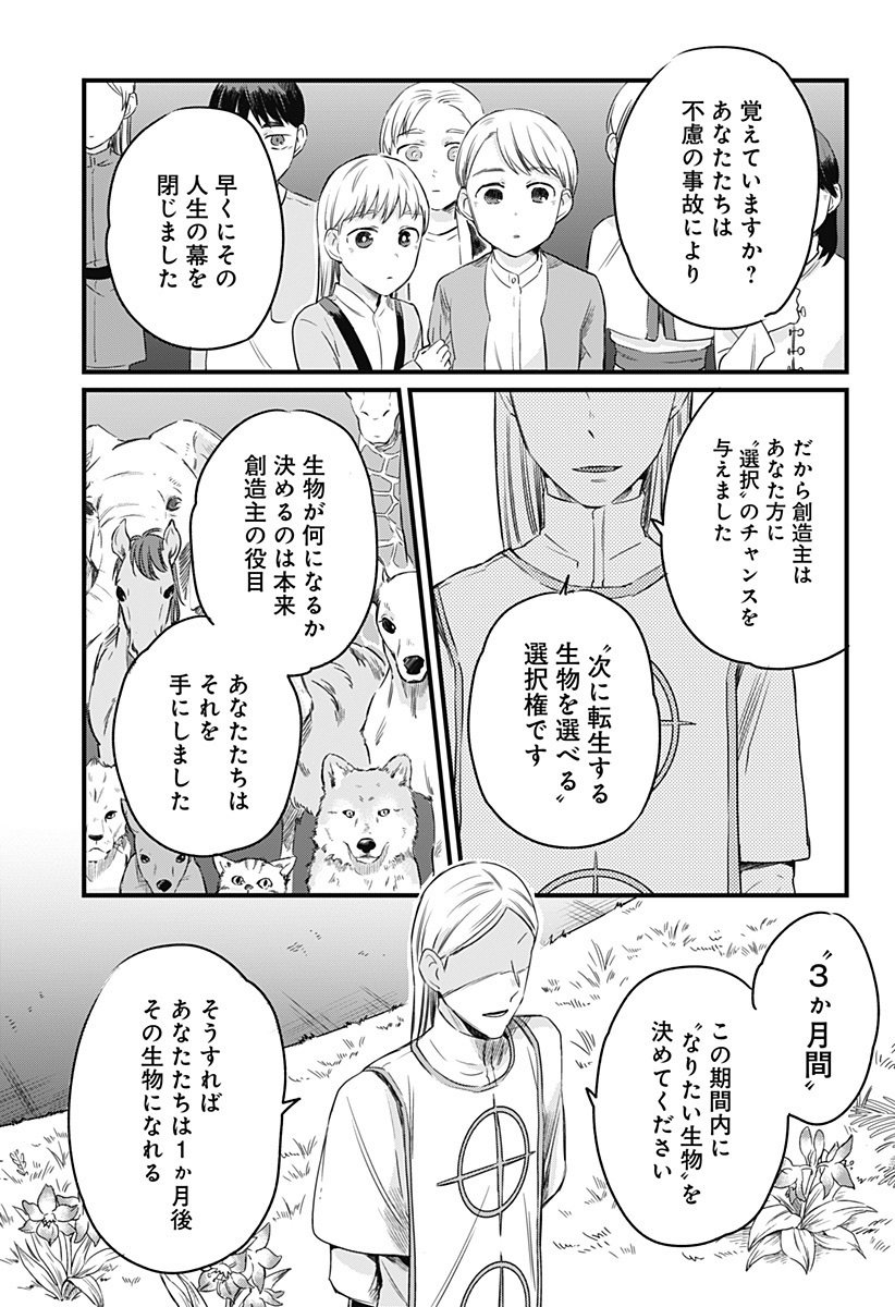 読み切り漫画が配信されました あららぎ菜名 Note