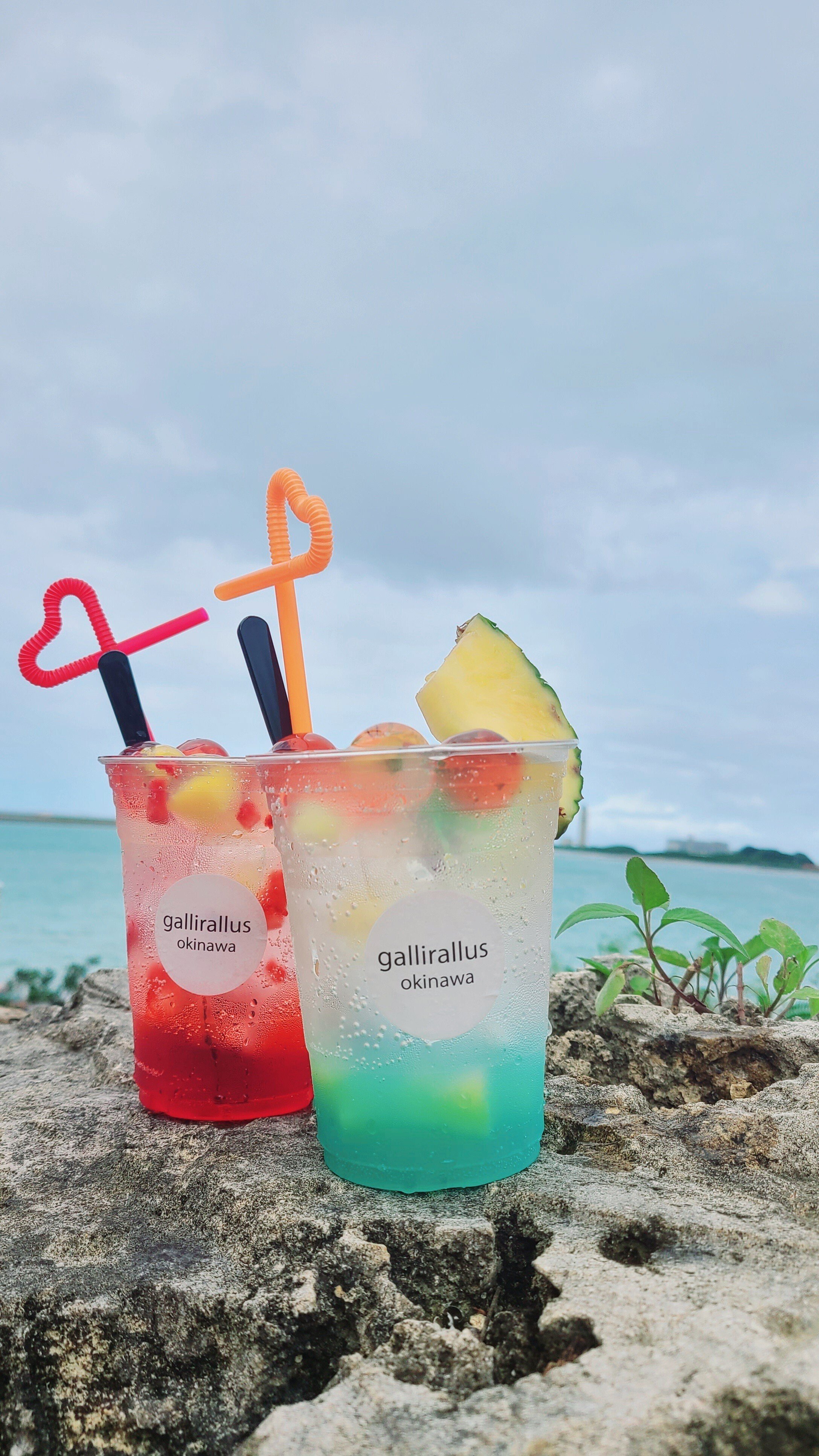 九龍球ドリンク店『Gallirallus』とカフェ『OOLOO』に行ってきました！｜澪