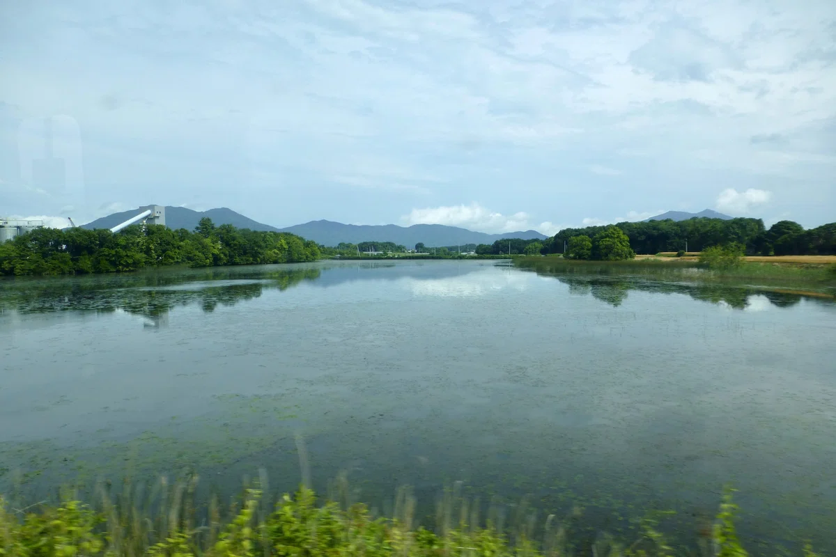 画像