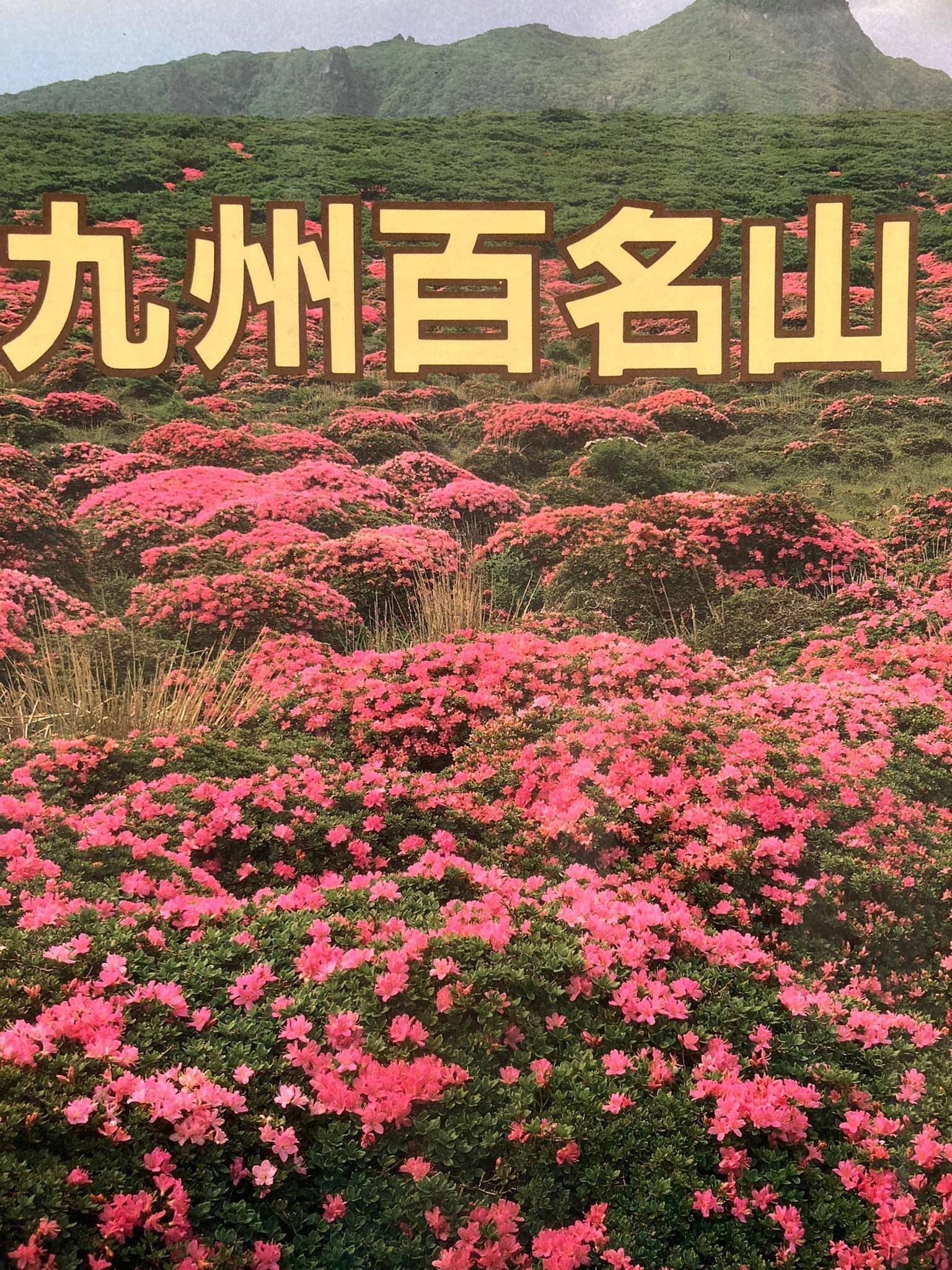 決定版 岩崎元郎の新日本百名山登山ガイド〈下〉―燕岳、東鳳翩山