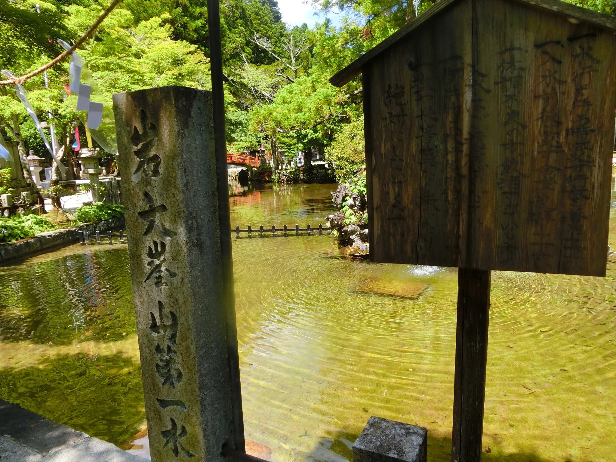 役行者禊「龍泉寺」前鬼と後鬼!ホタル【吉野シリーズ】【洞川シリーズ