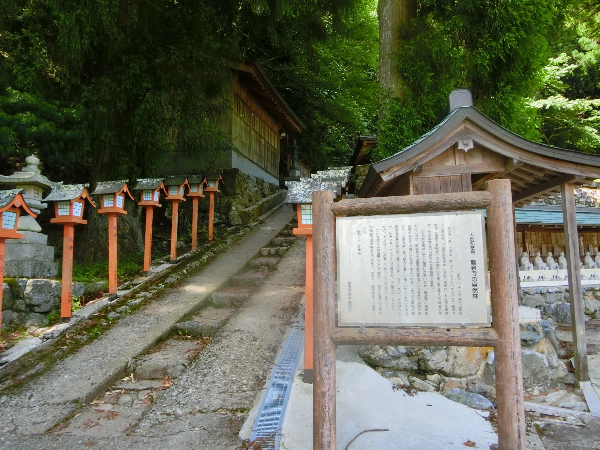 役行者禊「龍泉寺」前鬼と後鬼!ホタル【吉野シリーズ】【洞川シリーズ