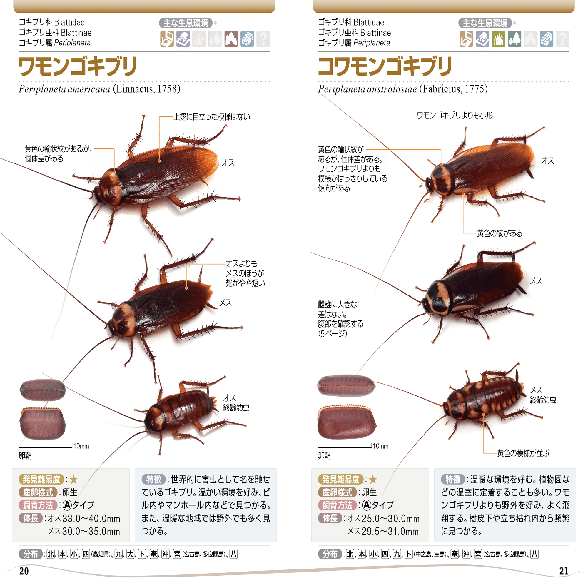 ゴキブリハンドブックができるまで ブンイチ 文一総合出版 Note