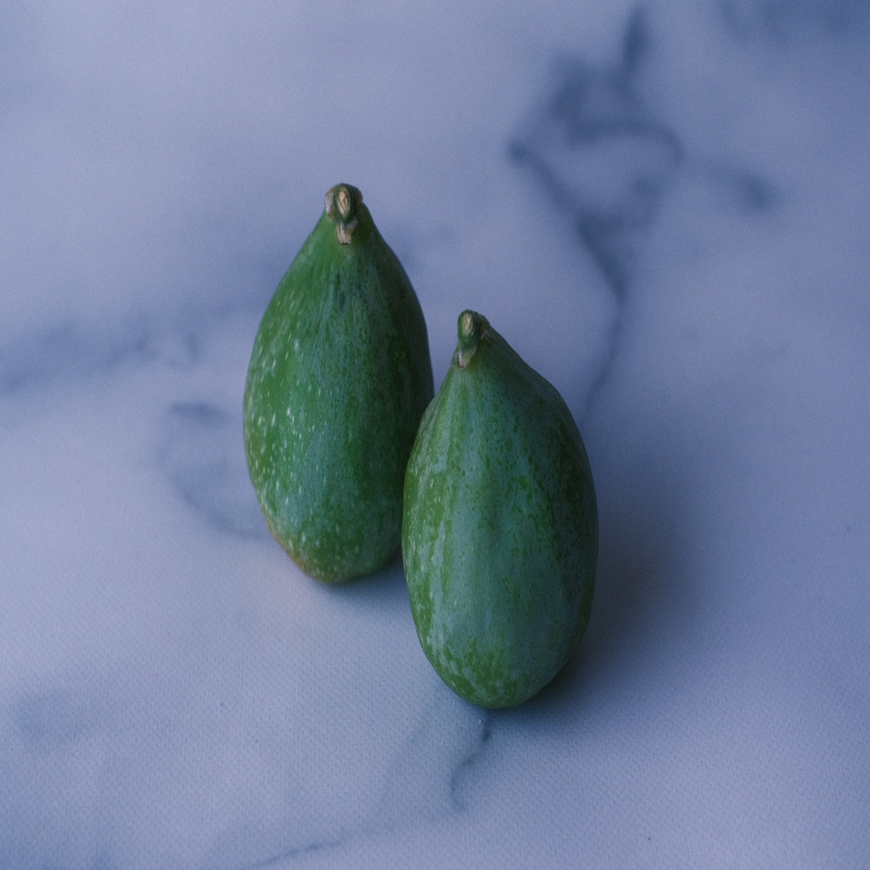 Fig Varieties The King ザ キング 世界のいちじく育てよう まるはち果実園 Note