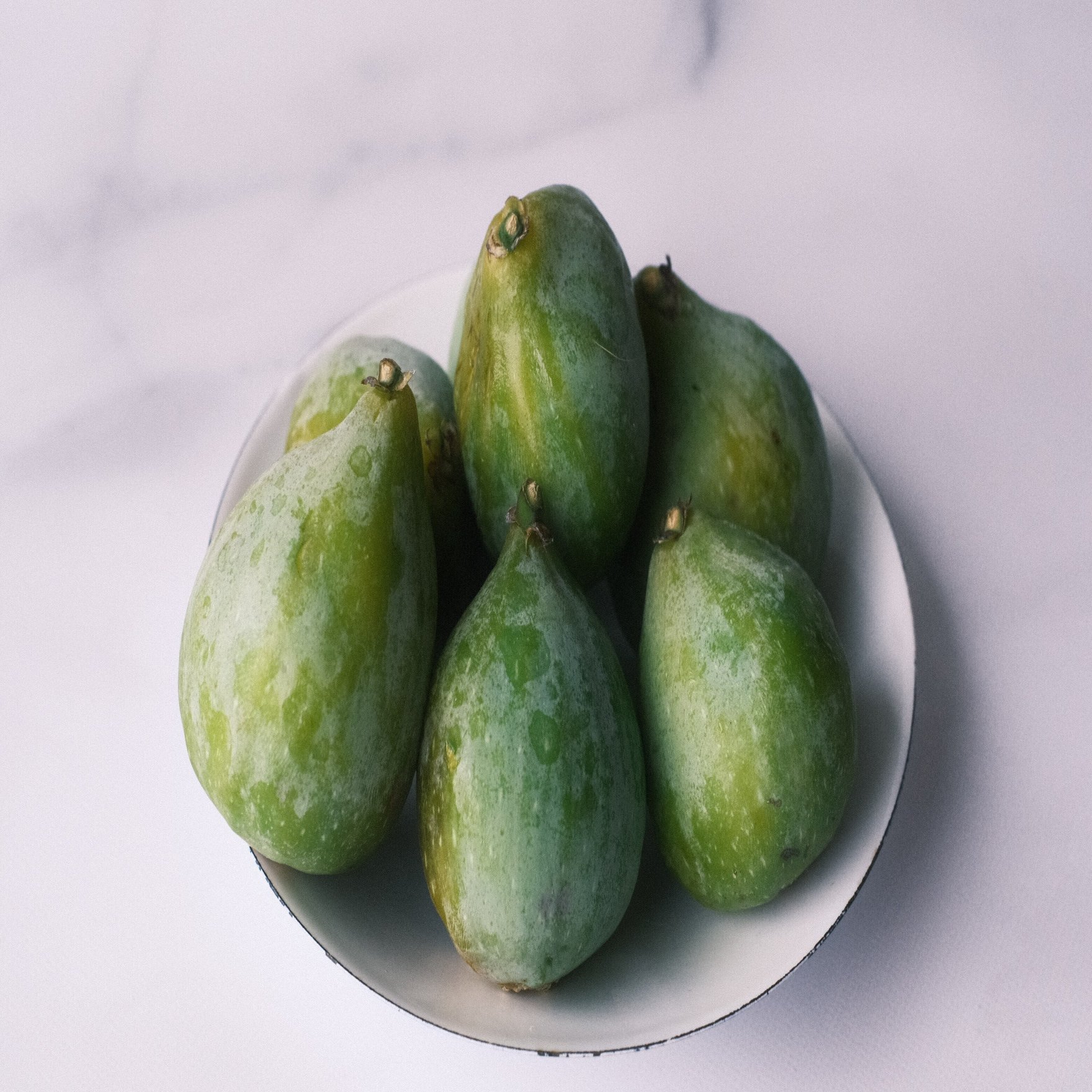 Fig Varieties The King ザ キング 世界のいちじく育てよう まるはち果実園 Note