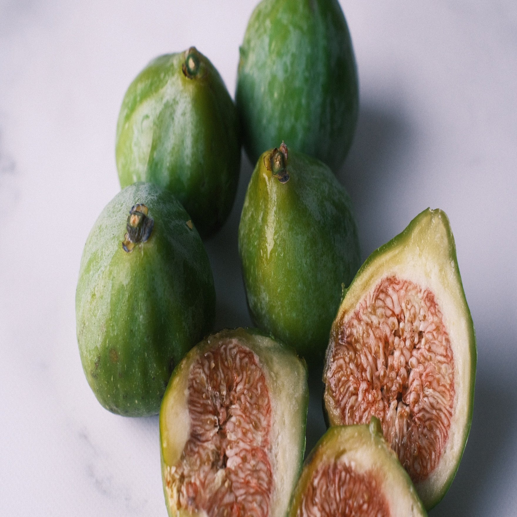 Fig Varieties The King ザ キング 世界のいちじく育てよう まるはち果実園 Note
