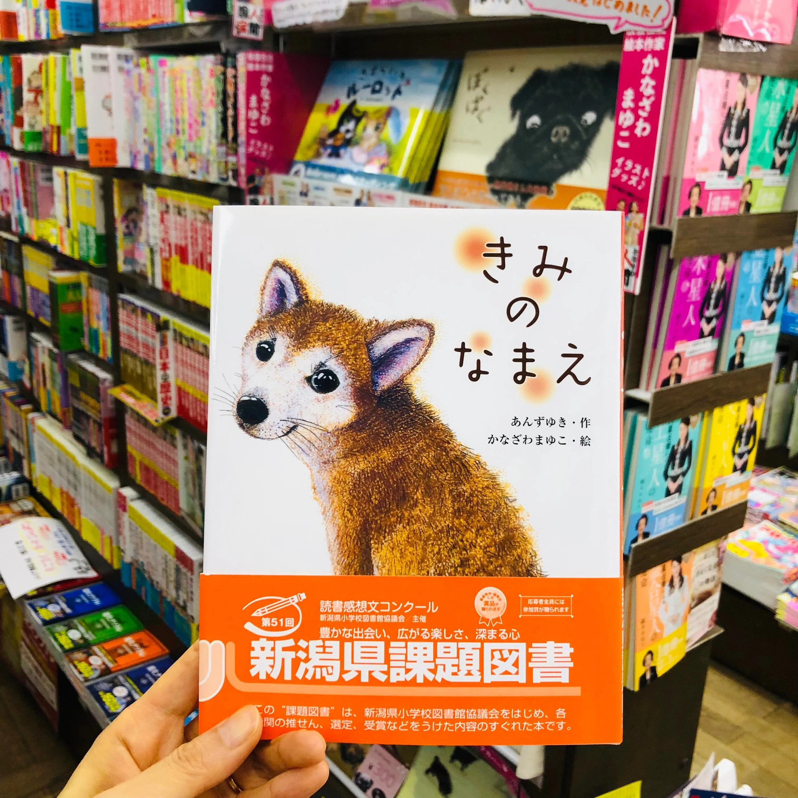 新潟県、推し】読書感想文 課題図書 に選ばれました！☆絵本『きみの
