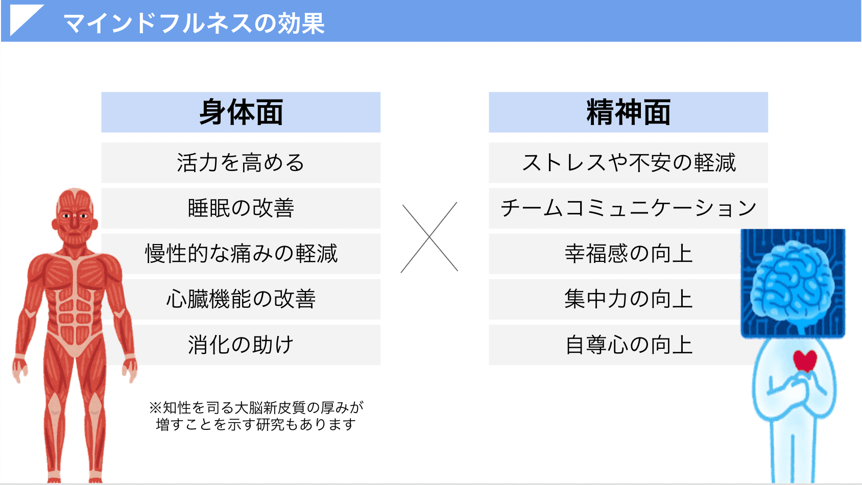 販売済み 禅瞑想―科学者の体験と実証