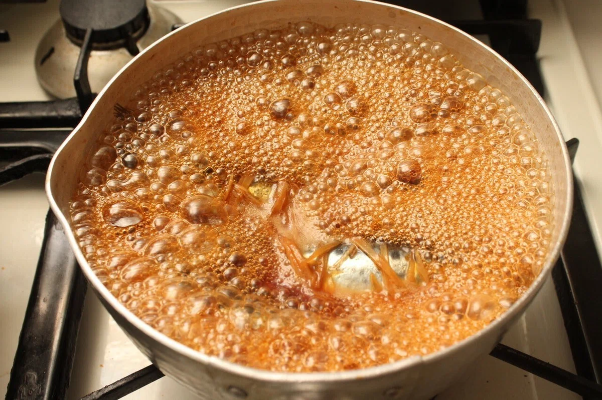 『魚の煮付け』は少ない煮汁でつくれ!|樋口直哉(TravelingFoodLab.)