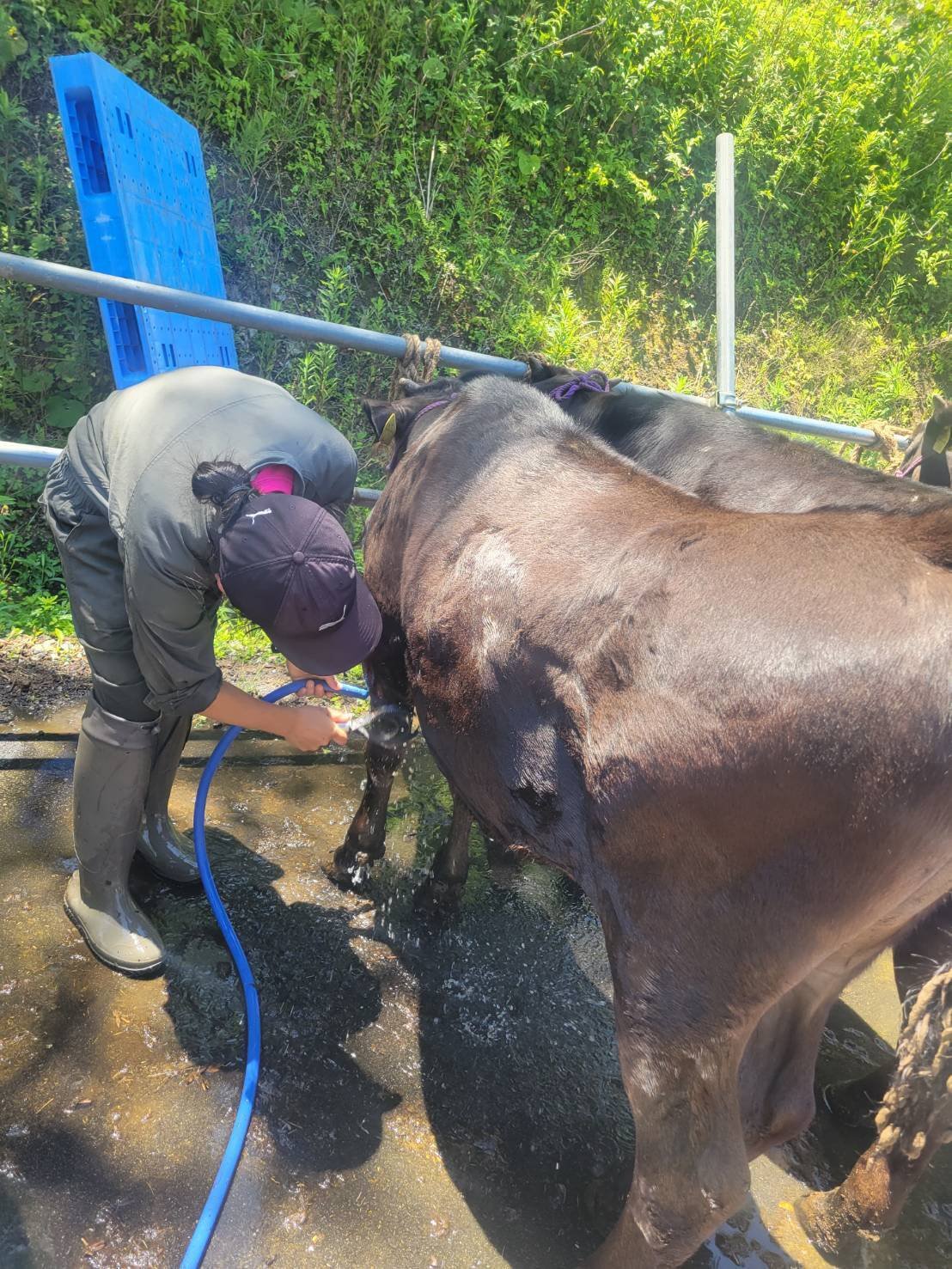 Vol 33 半x活動報告 隠岐潮風ファーム U Oyama I Mns 看護師の資格は人生の保険 Note Vol 33 半x活動報告 隠岐潮風ファーム U Oyama I Mns 看護師の資格は人生の保険 Note