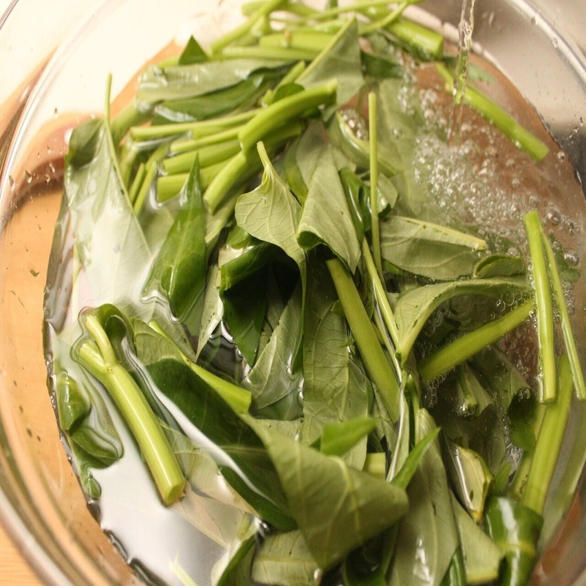 青菜炒め は強めの火で すばやく加熱せよ 樋口直哉 Travelingfoodlab Note