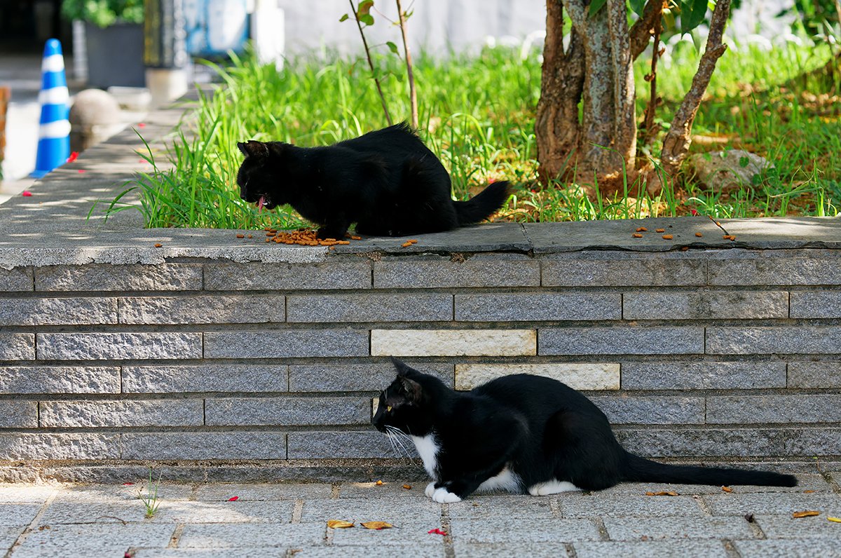 おこぼれを待つ Masaki Senko Note