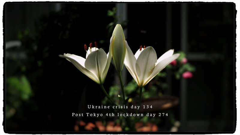 Ukraine crisis day 134 Post Tokyo 4th lockdown day 274